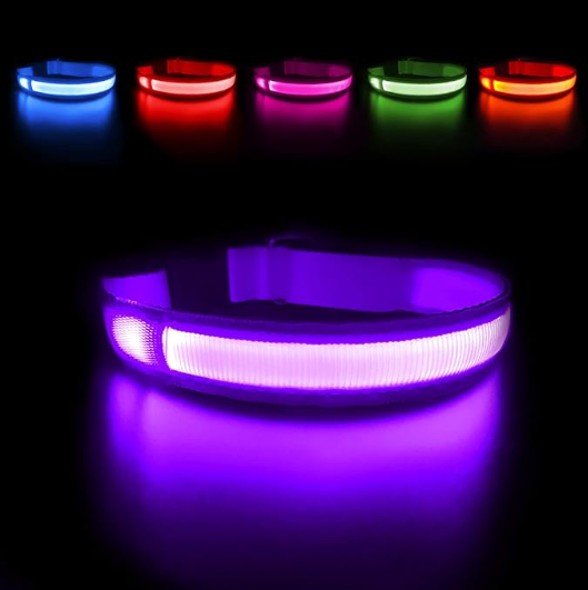 LED-Halsband