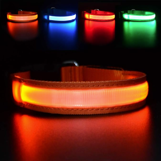 LED-Halsband