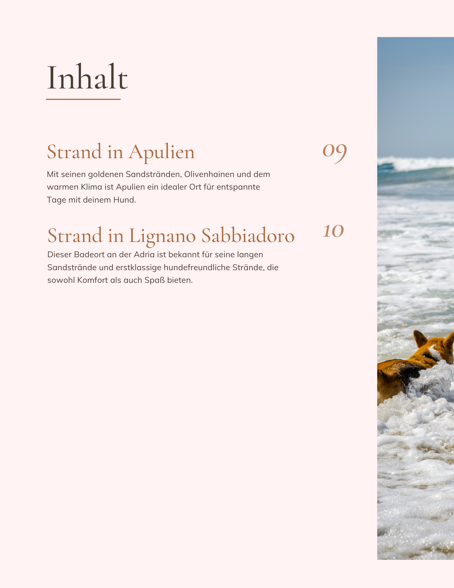 Italiens Versteckte Hundeoasen: Entdecke 13 geheime Strände für dich und deinen Hund