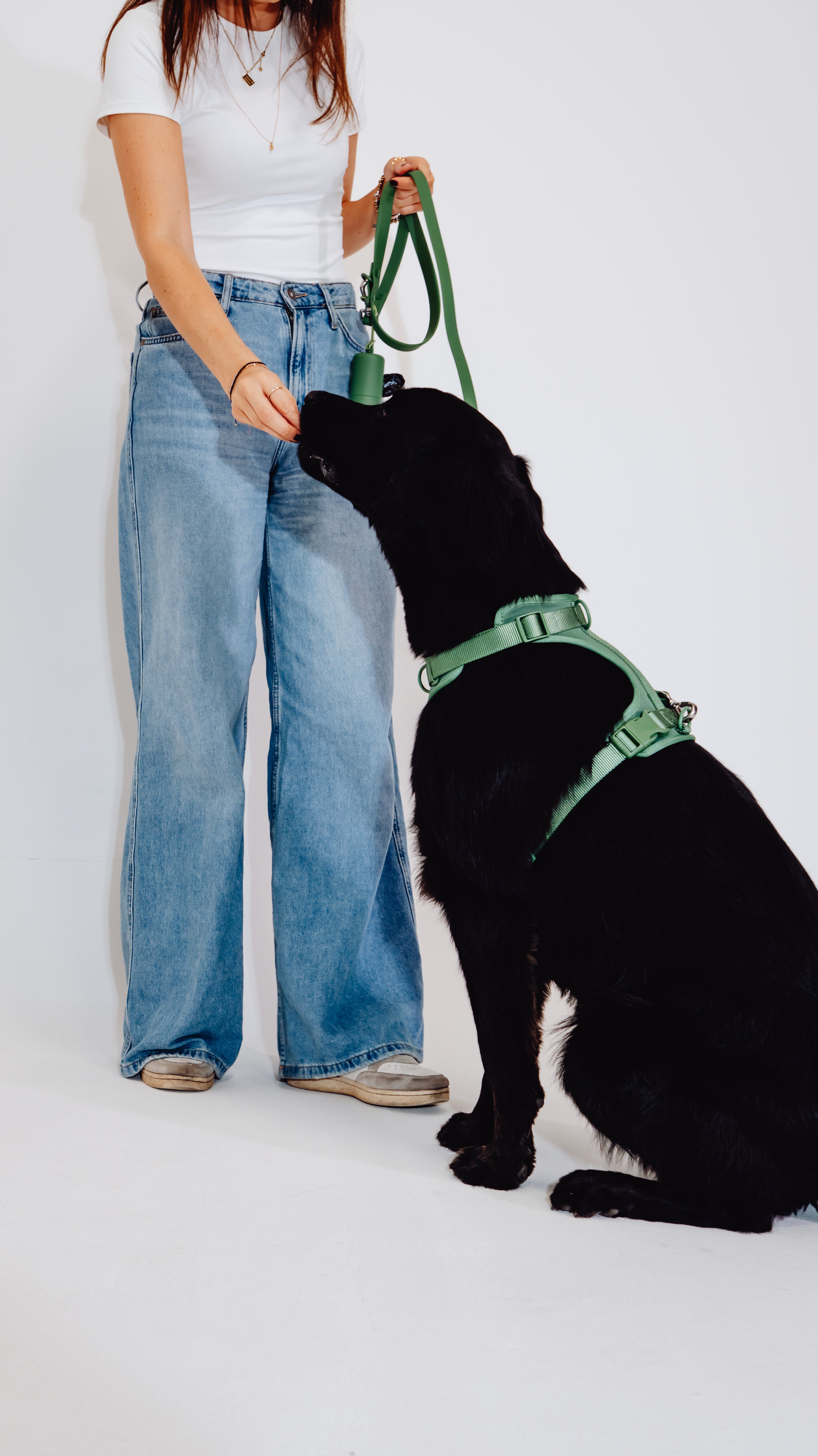 Waldpfote Velvy Geschirr