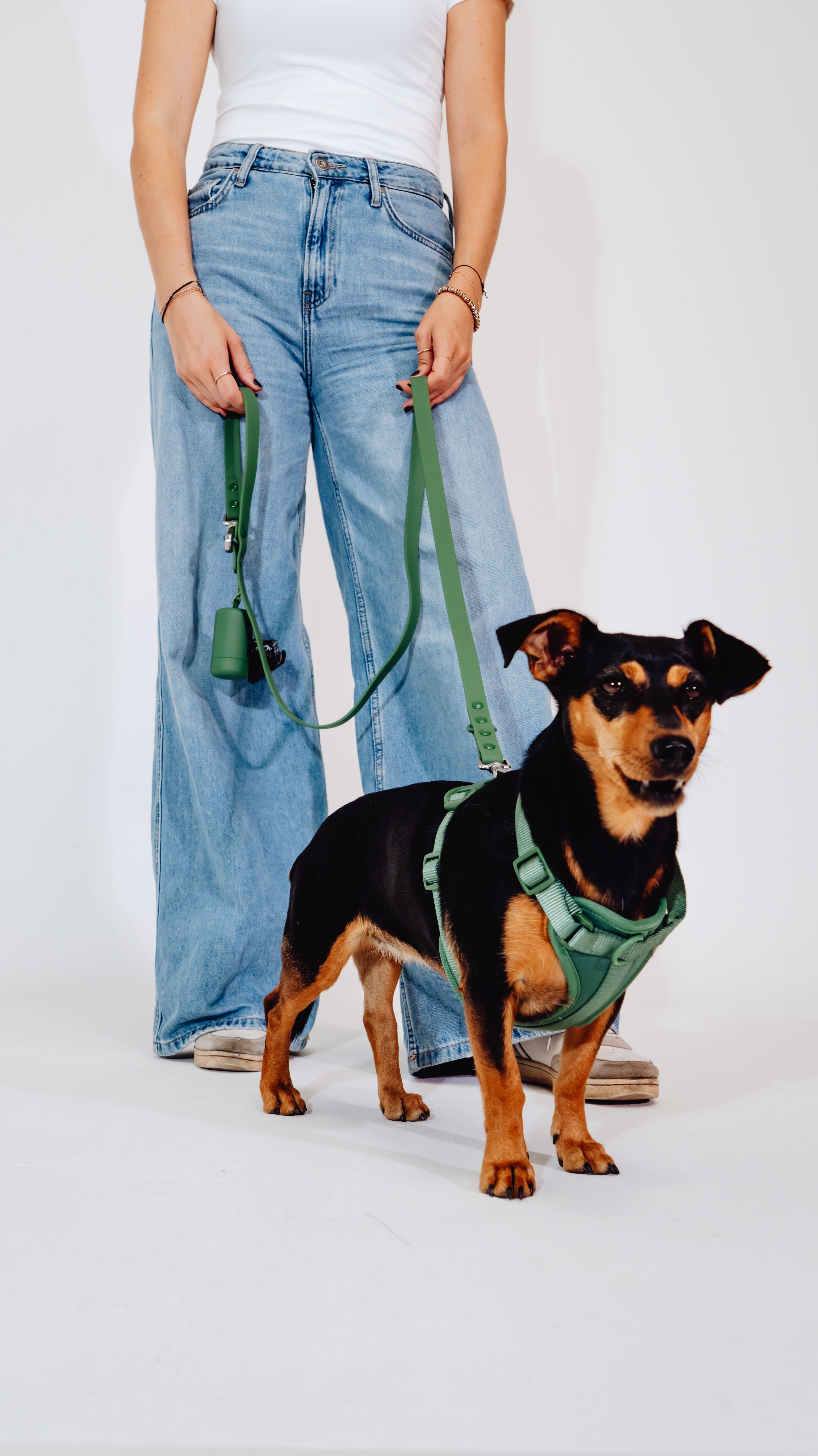 Waldpfote Velvy Geschirr