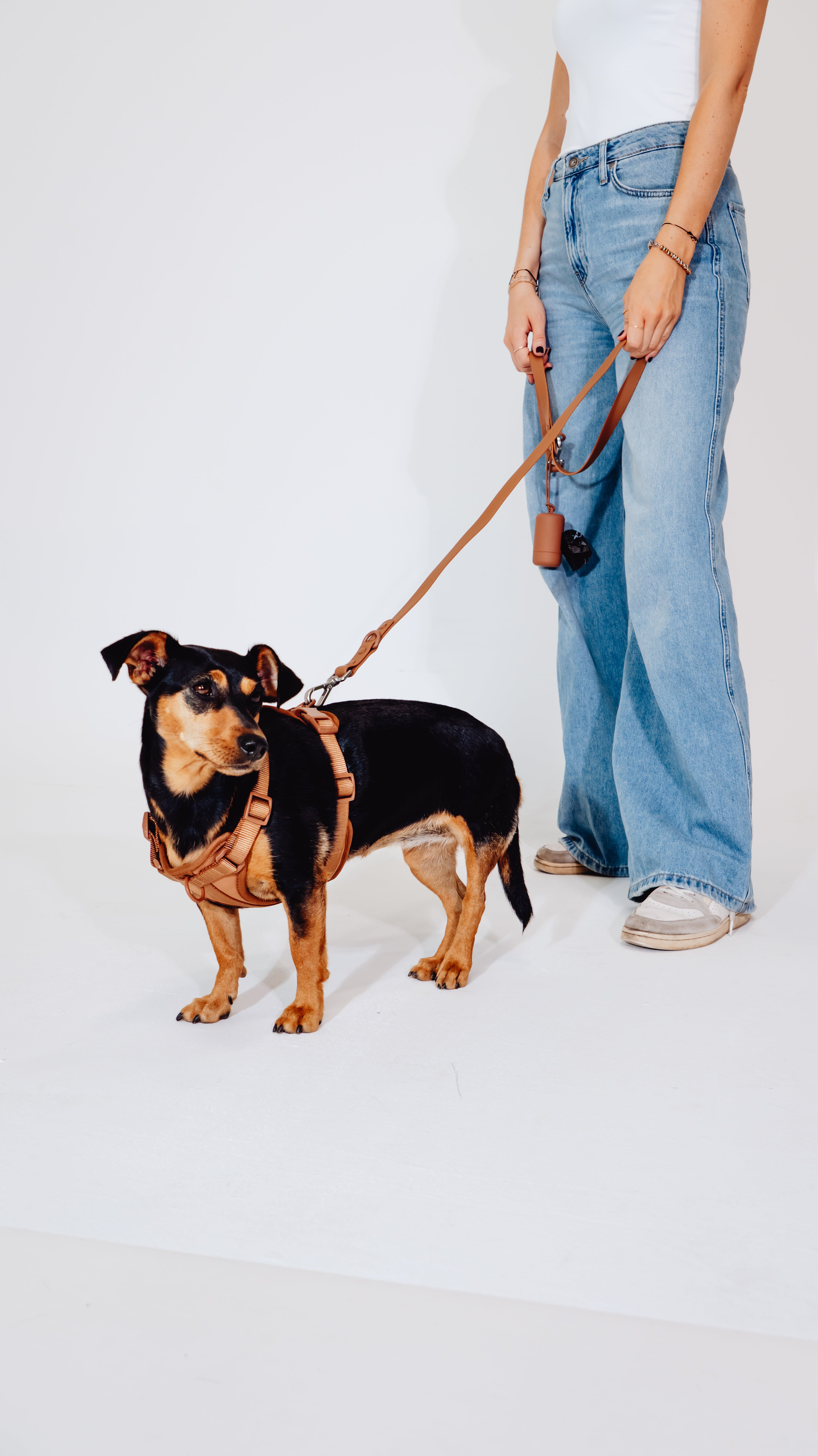 Zimtpfote Velvy Geschirr Set