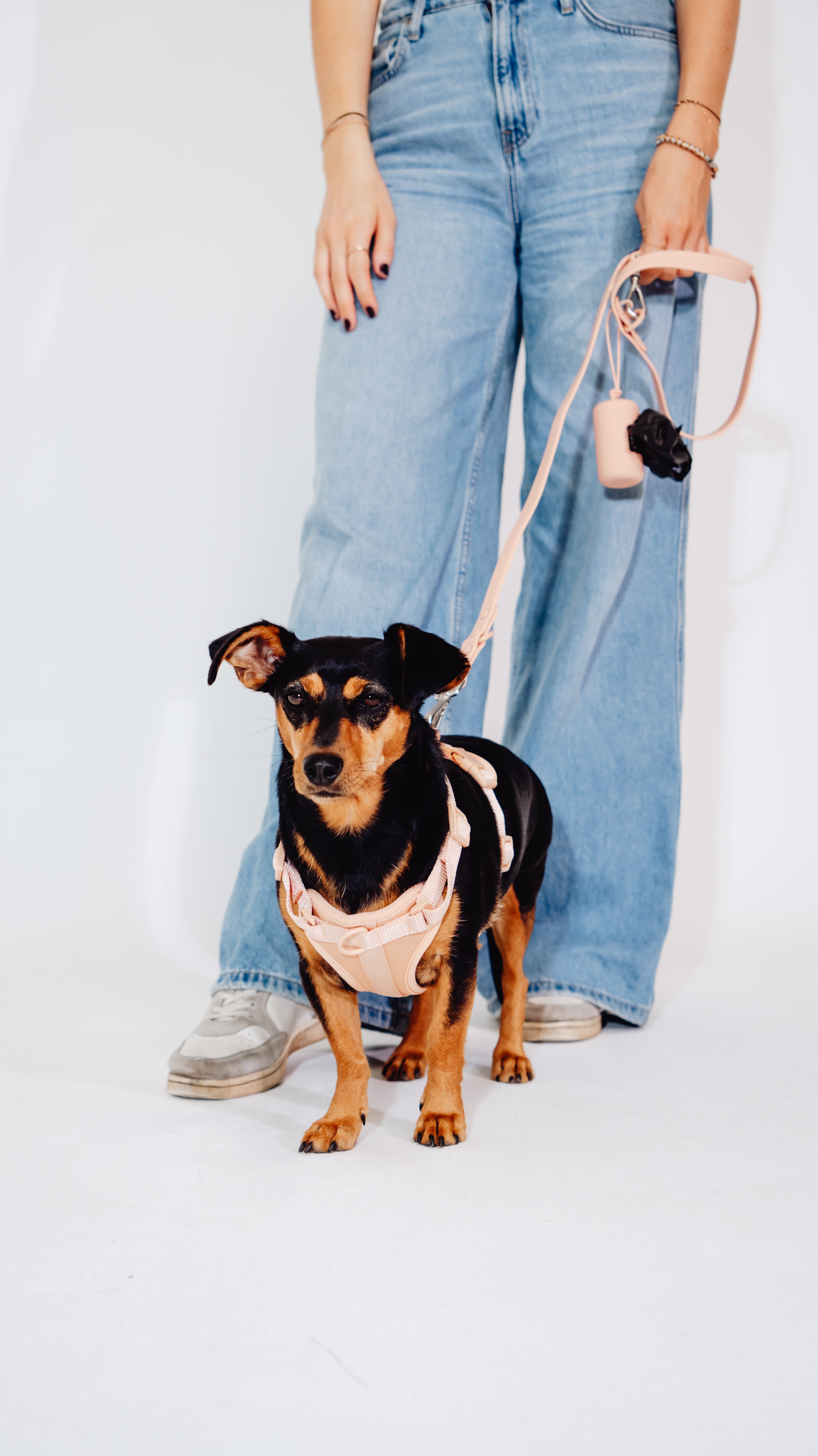 Pfirsich Velvy Geschirr Set