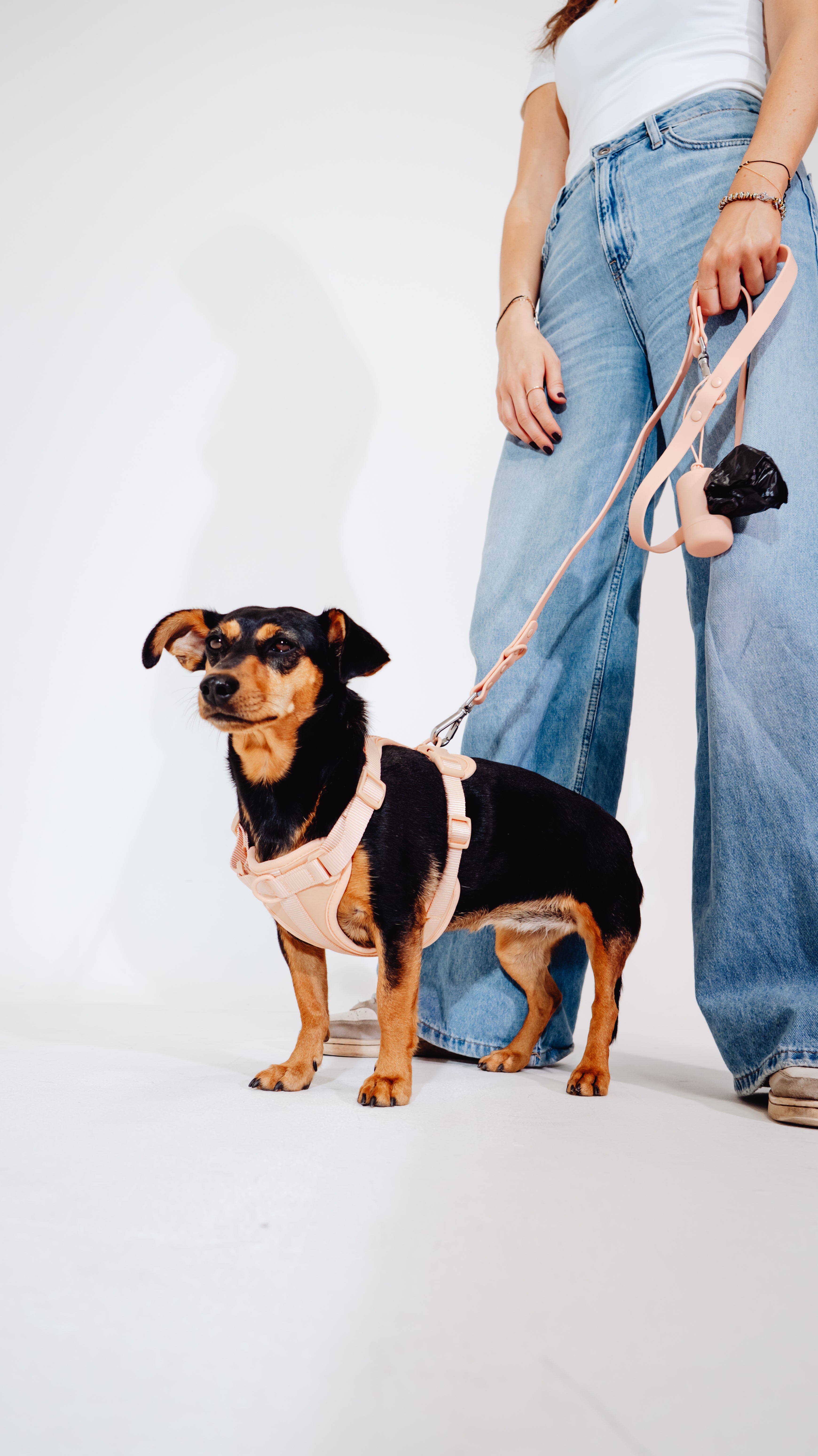 Pfirsich Velvy Geschirr Set