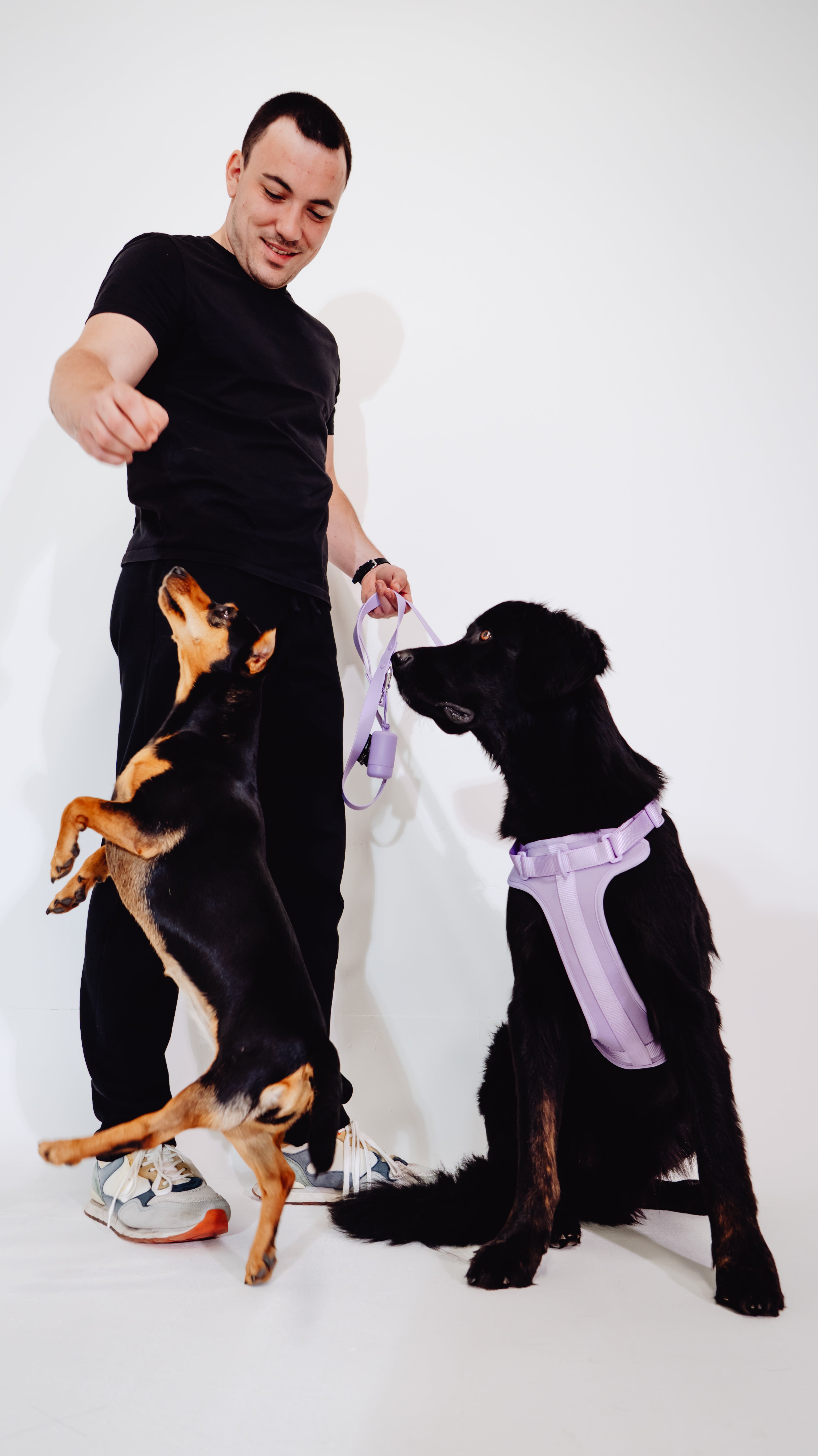 Lavendeltraum Velvy Geschirr Set