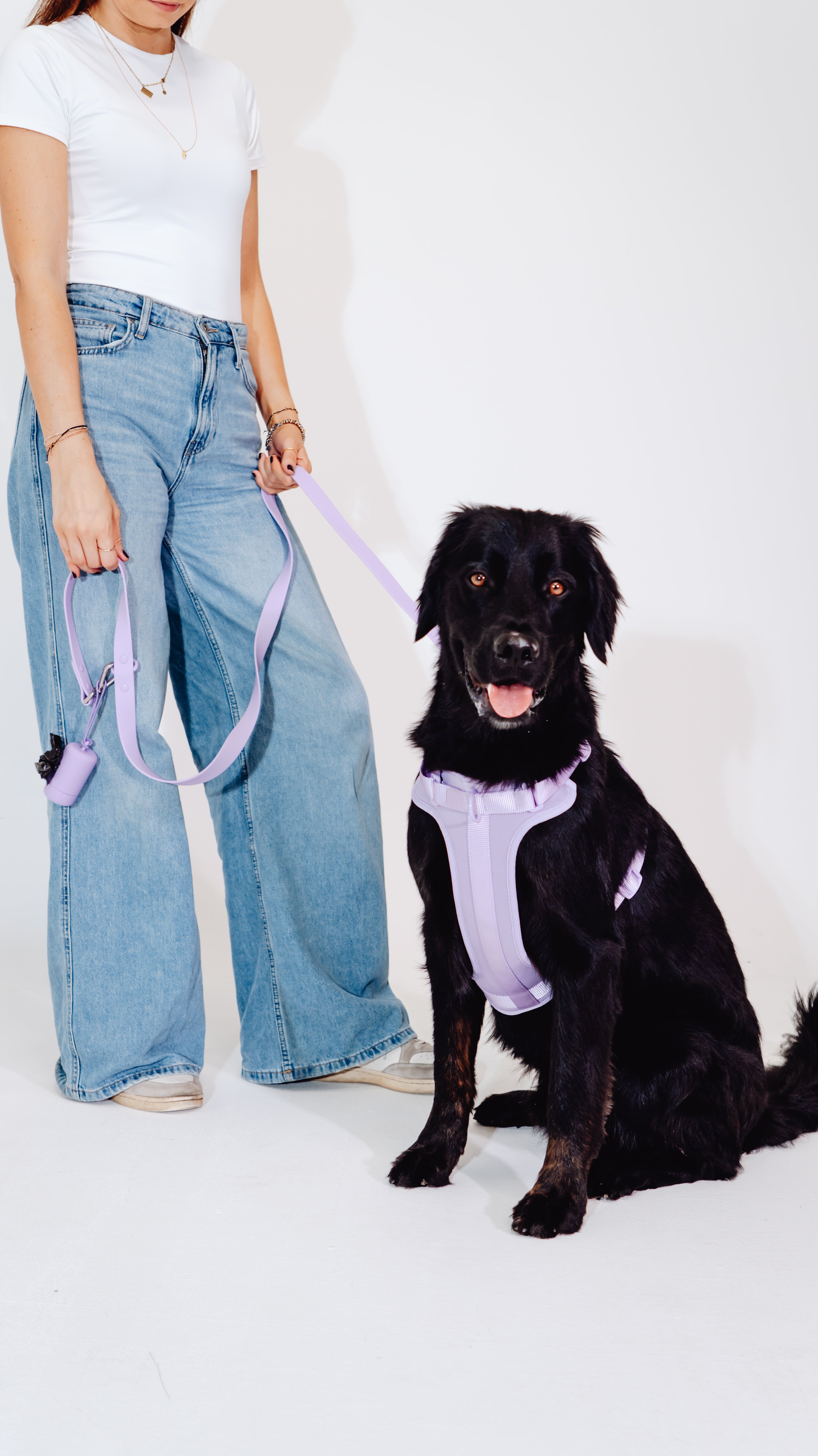 Lavendeltraum Velvy Geschirr Set