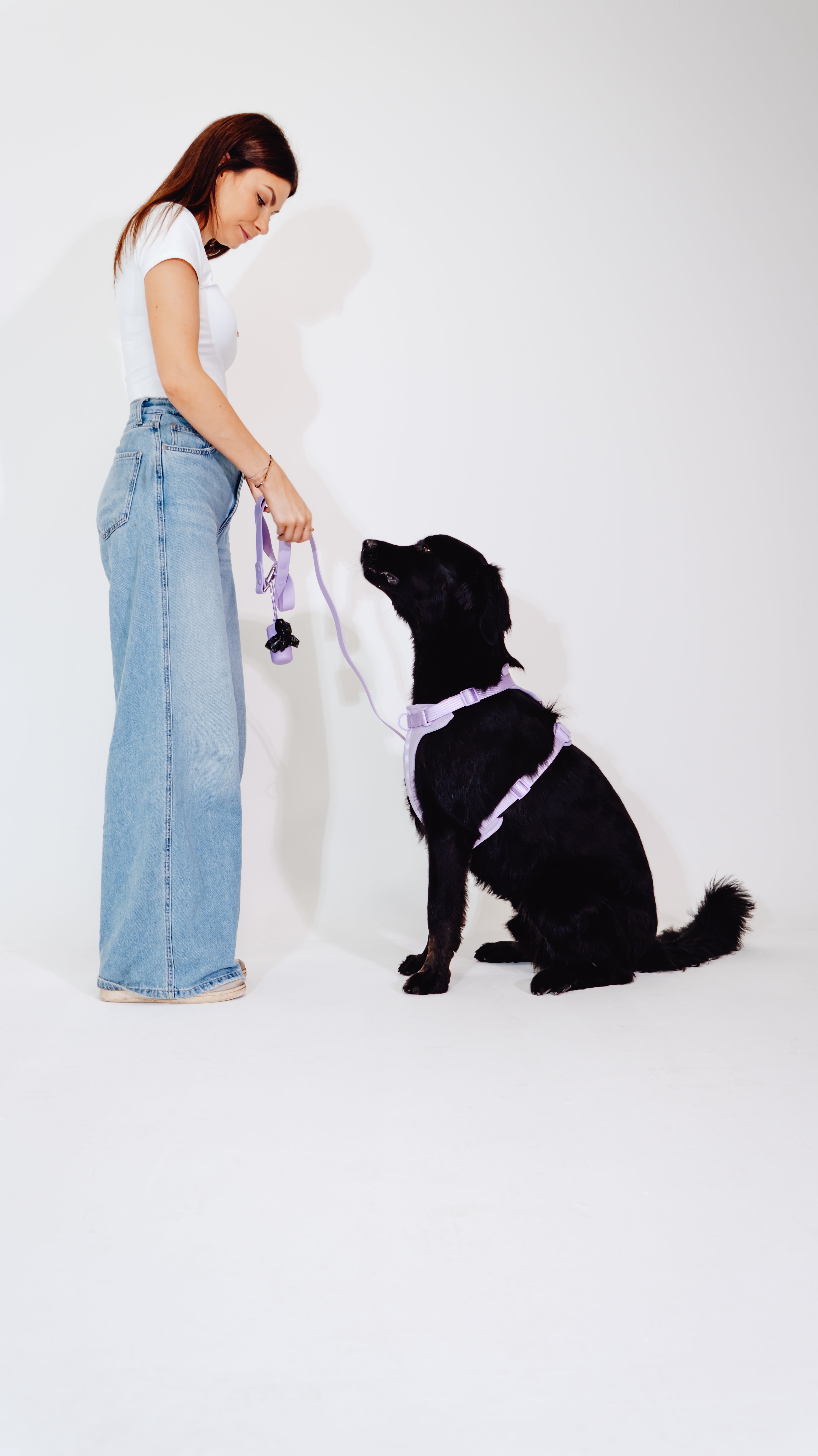 Lavendeltraum Velvy Geschirr Set