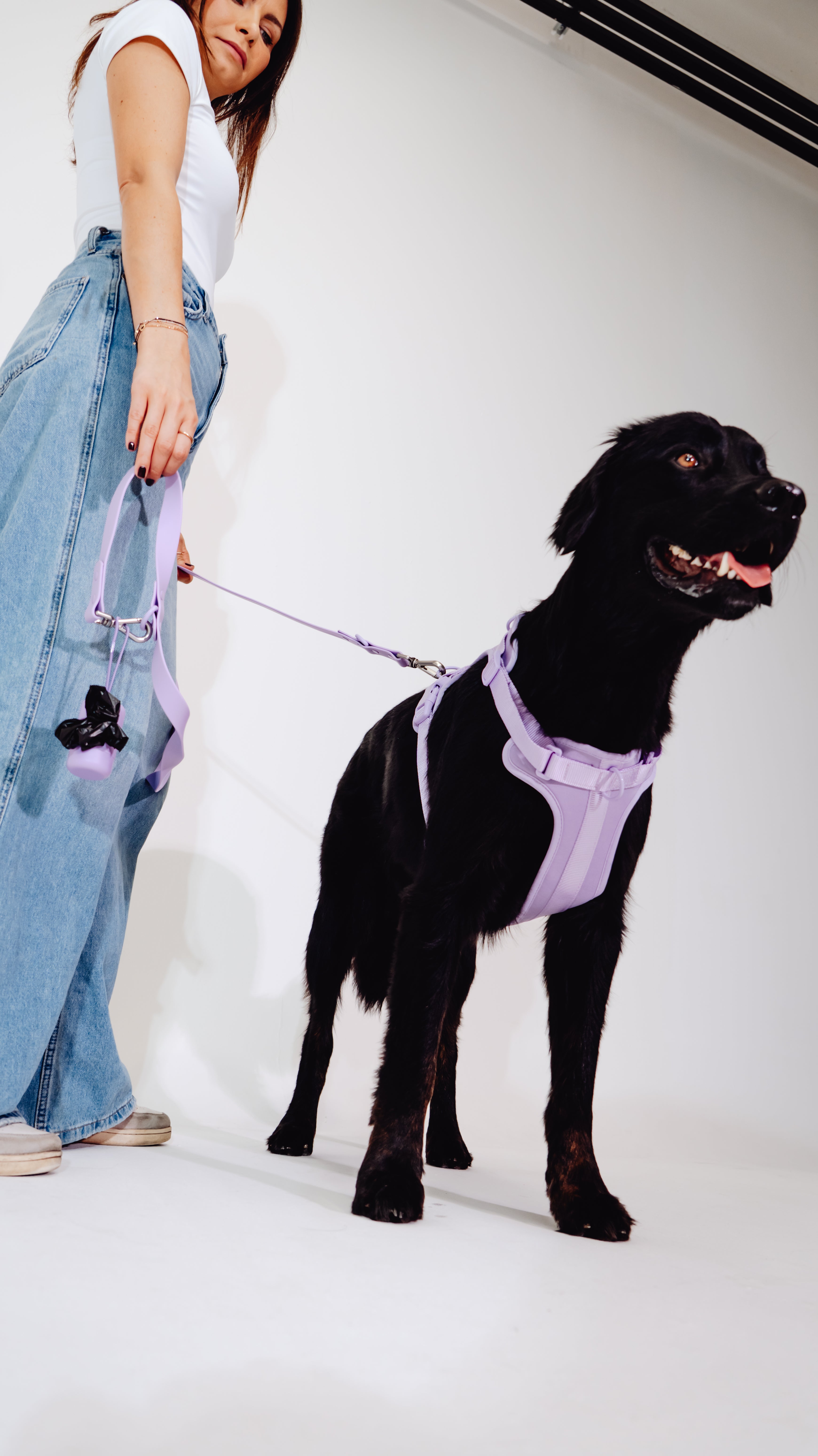 Lavendeltraum Velvy Geschirr Set