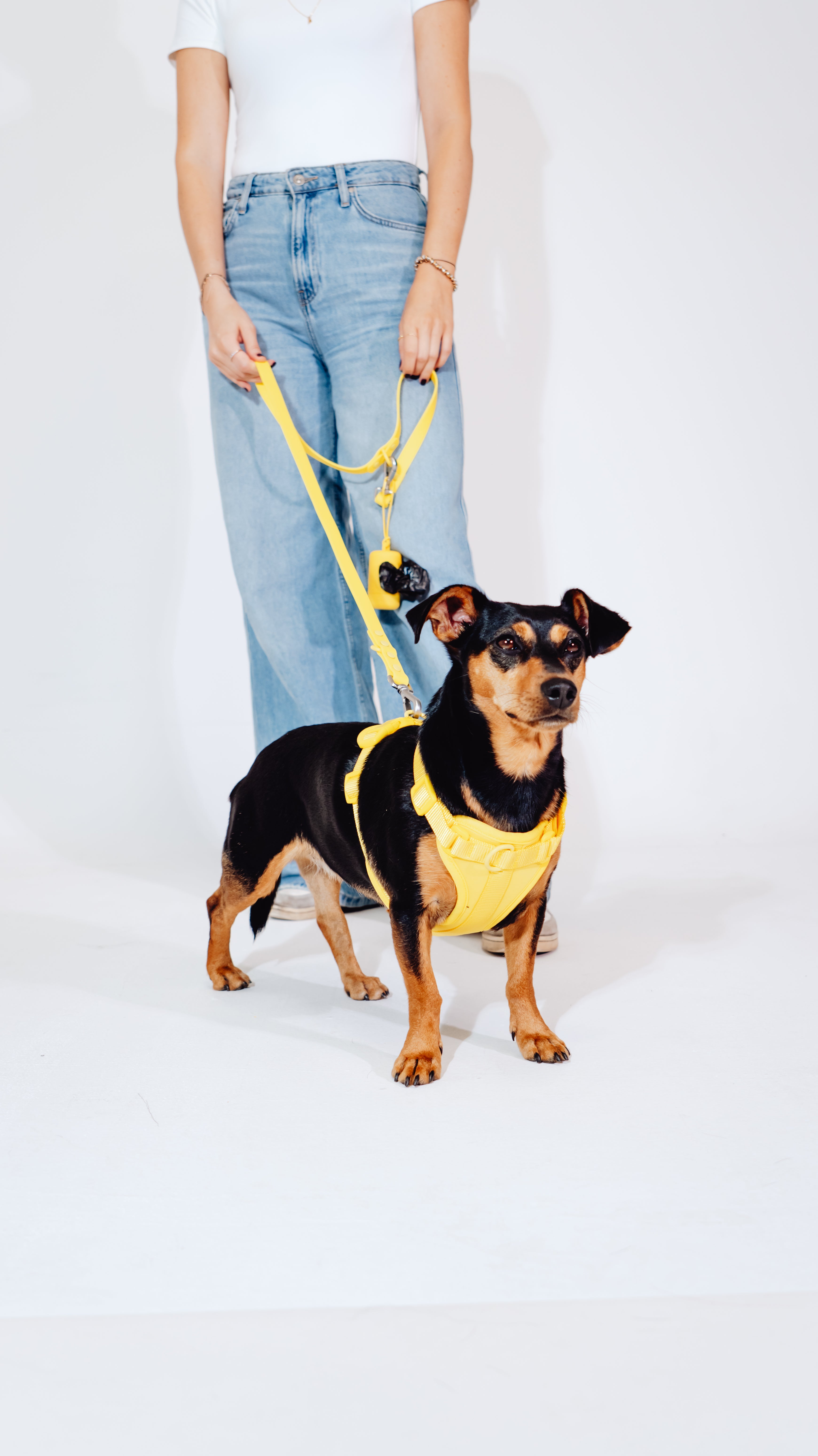 Sunny Soul Velvy Geschirr Set