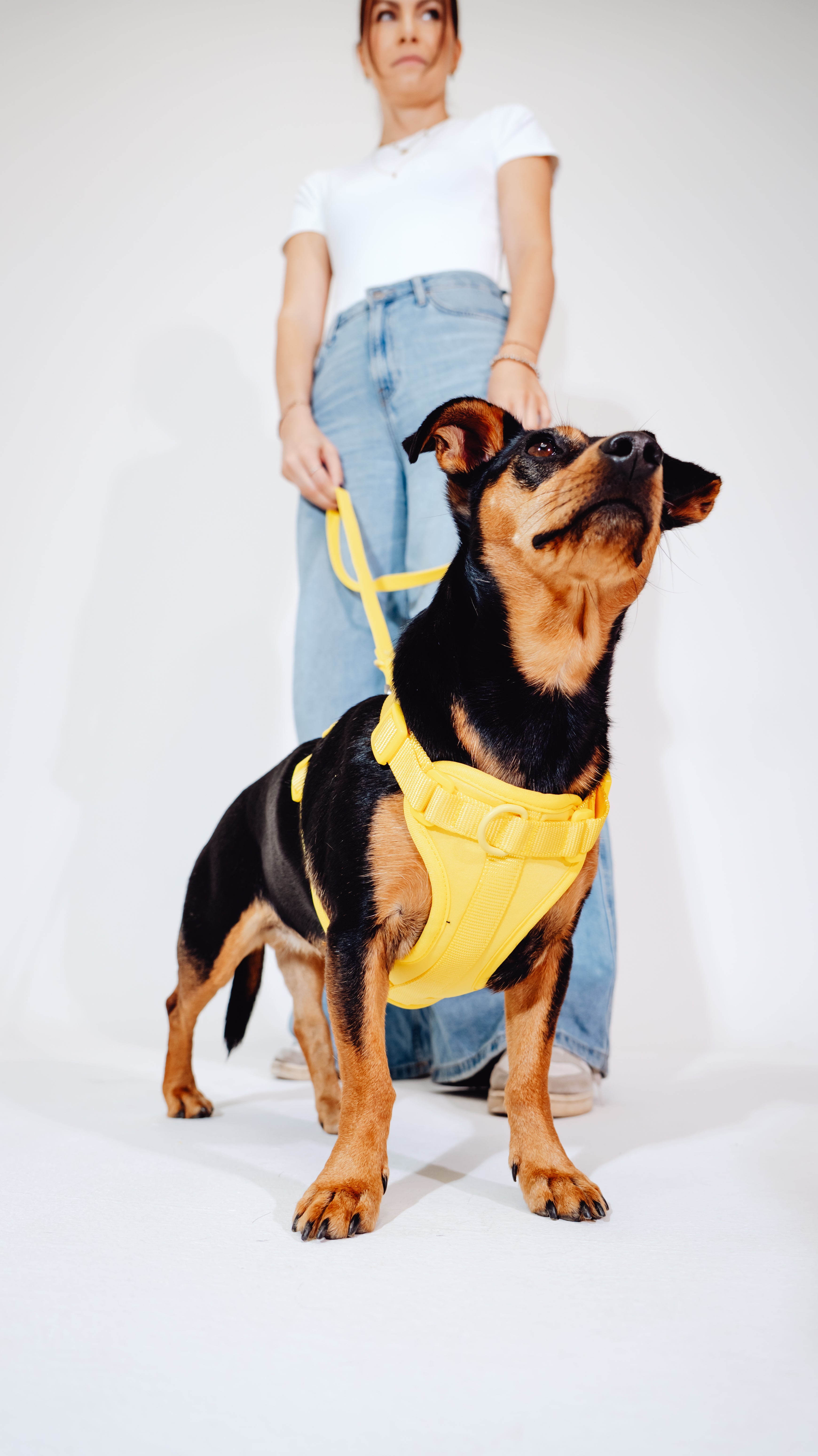 Sunny Soul Velvy Geschirr Set