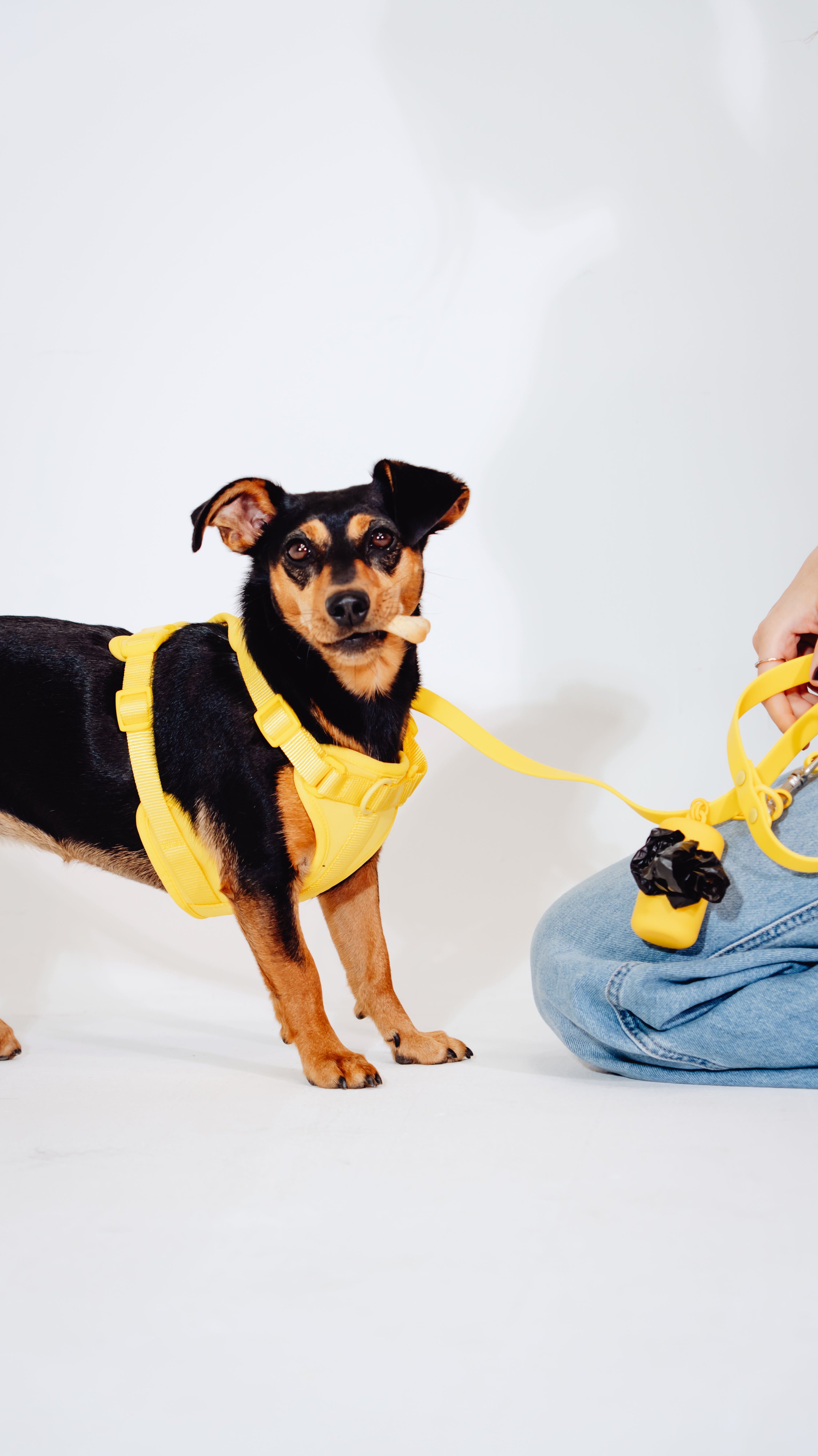 Sunny Soul Velvy Geschirr Set