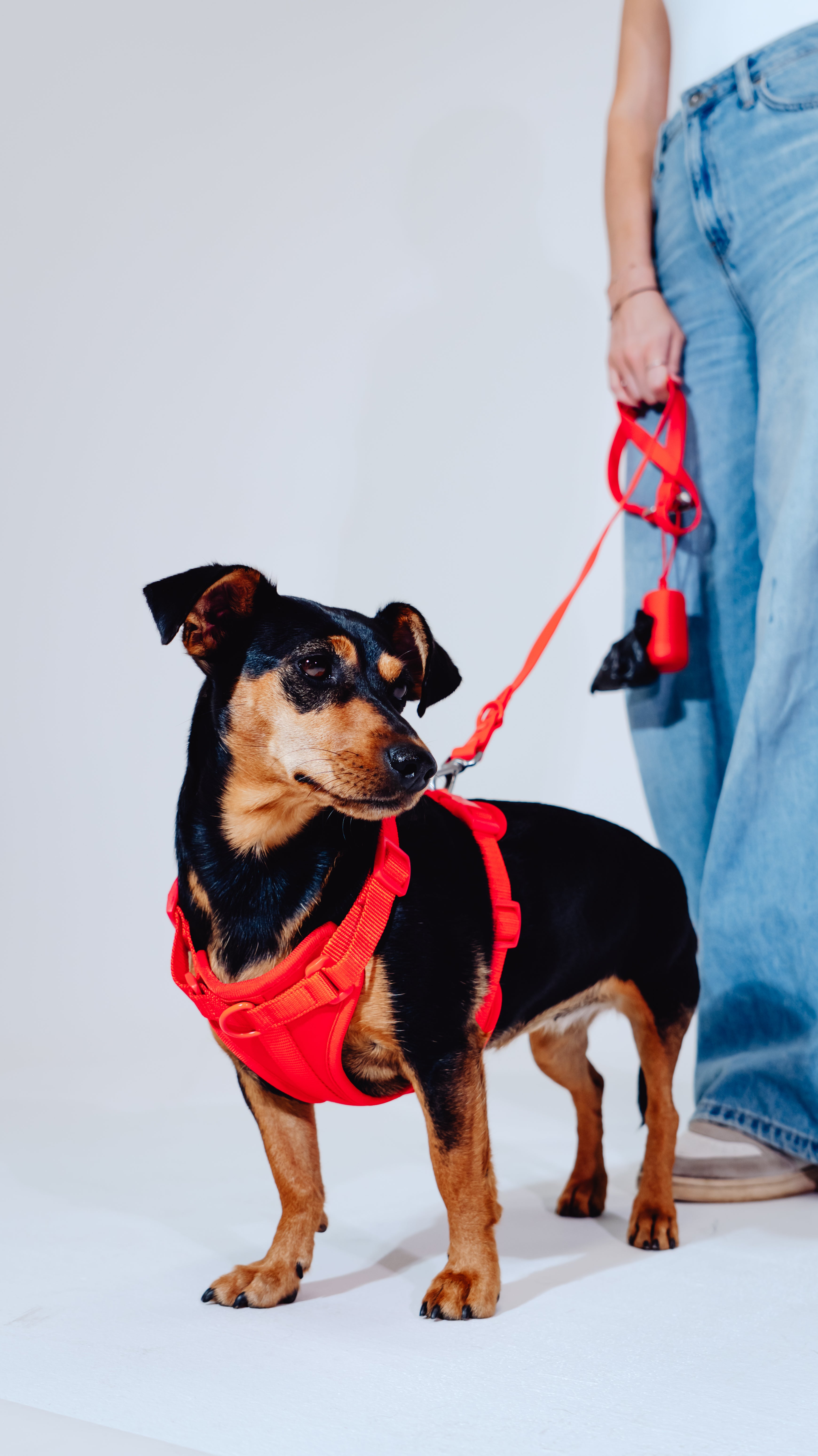 Berry Velvy Geschirr Set