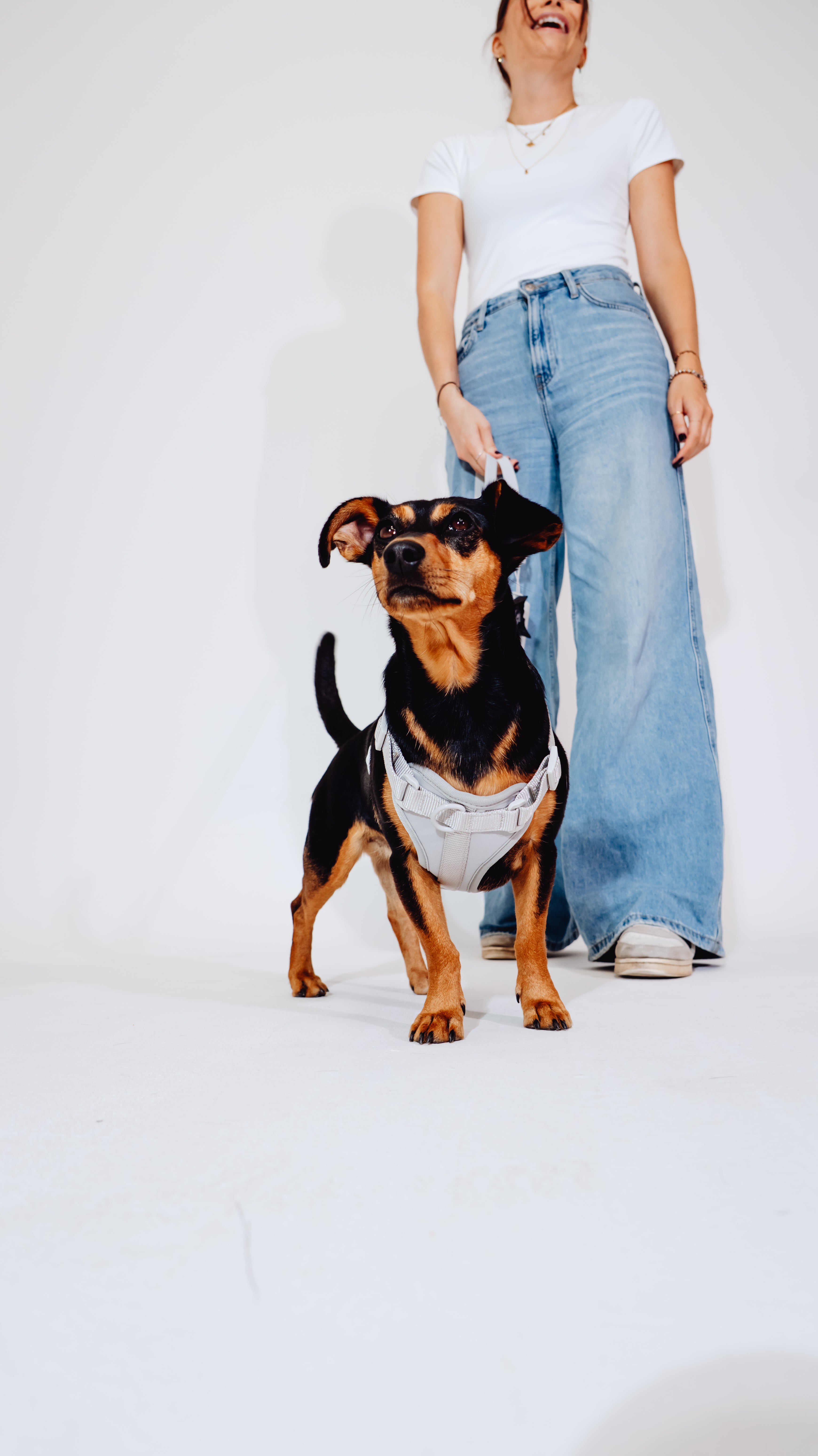 Graphit Velvy Geschirr