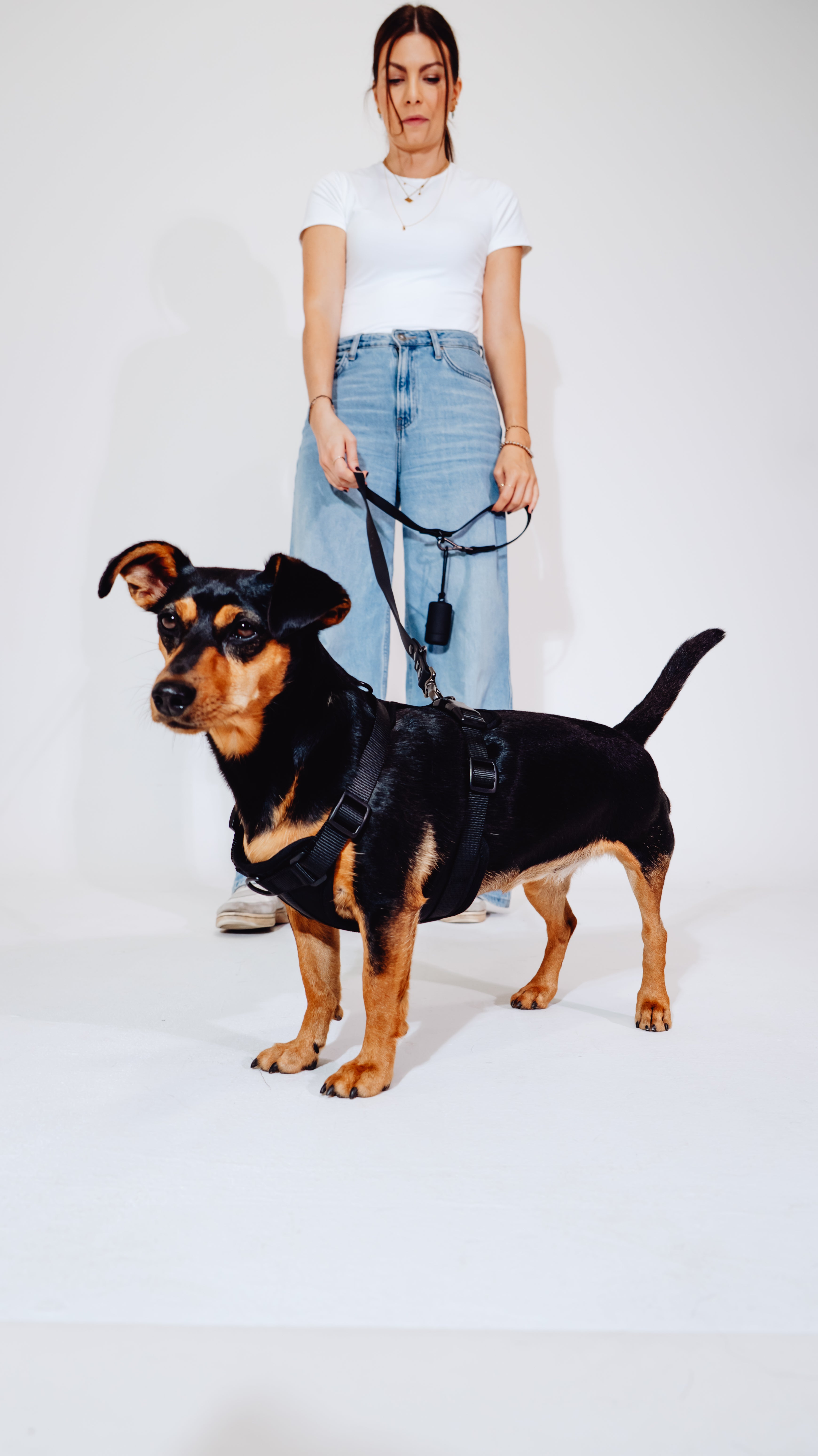 Midnight Velvy Geschirr Set