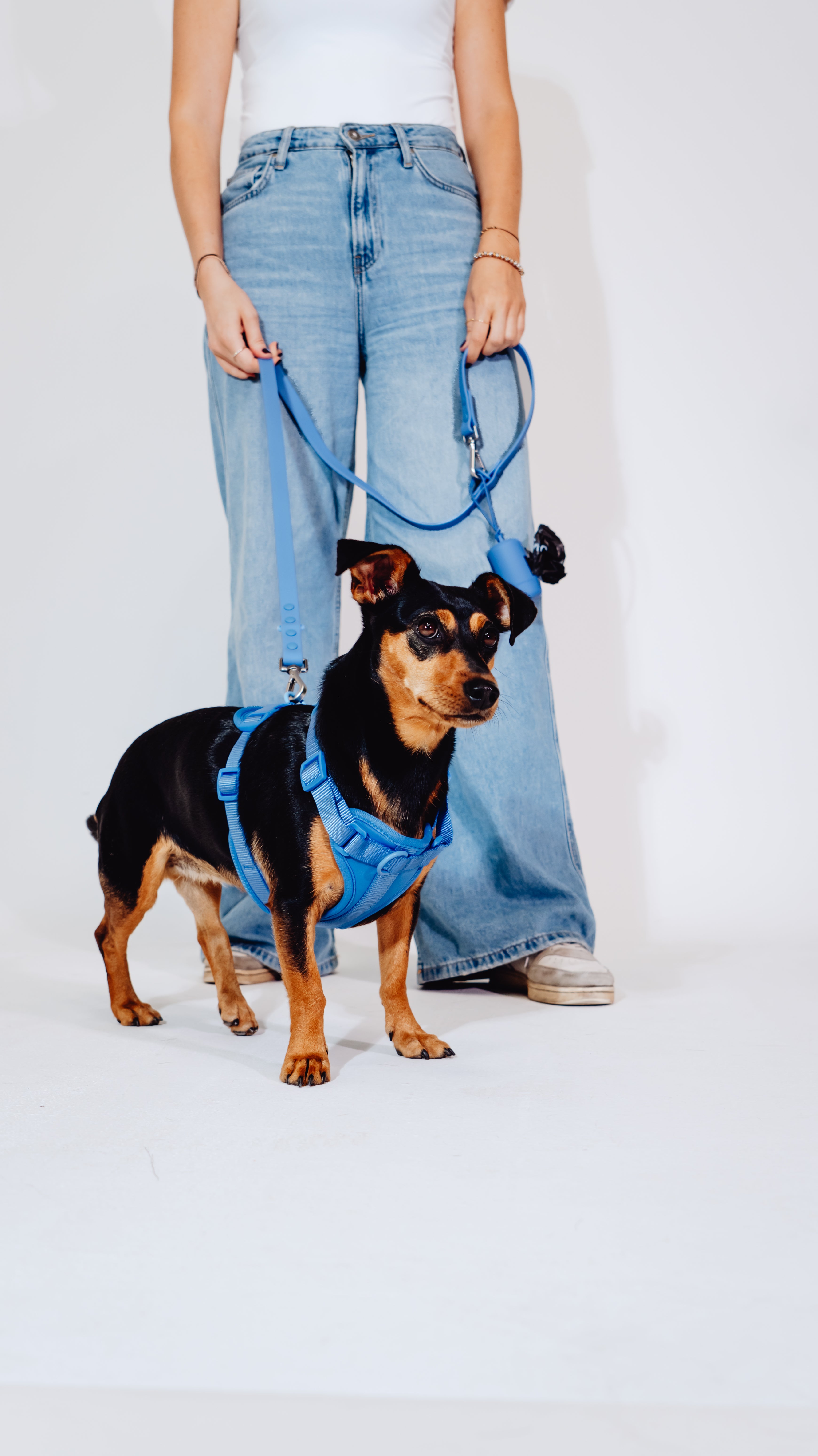 Nordwind Velvy Geschirr Set