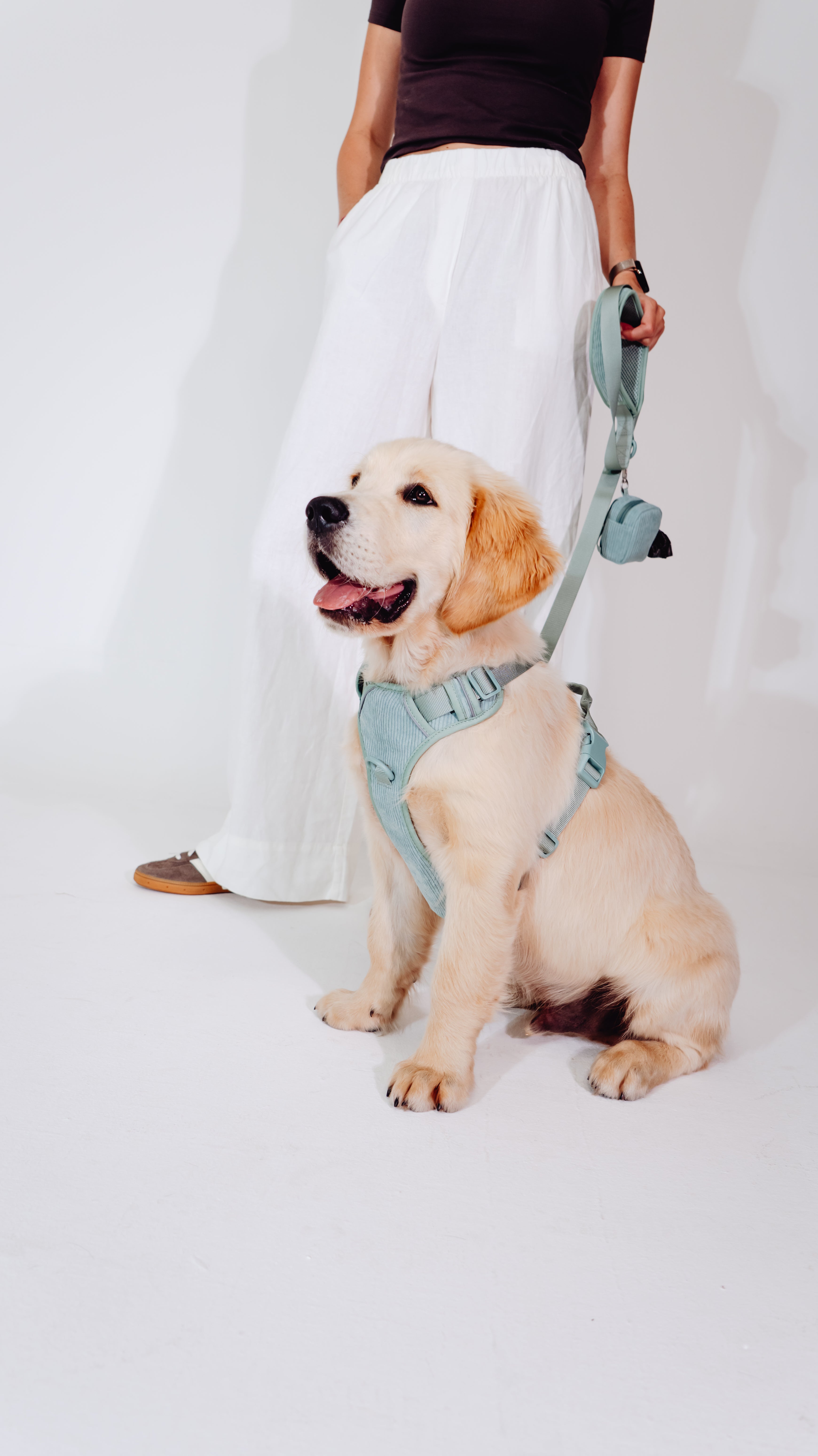 Matcha Grün Cordélia Geschirr Set