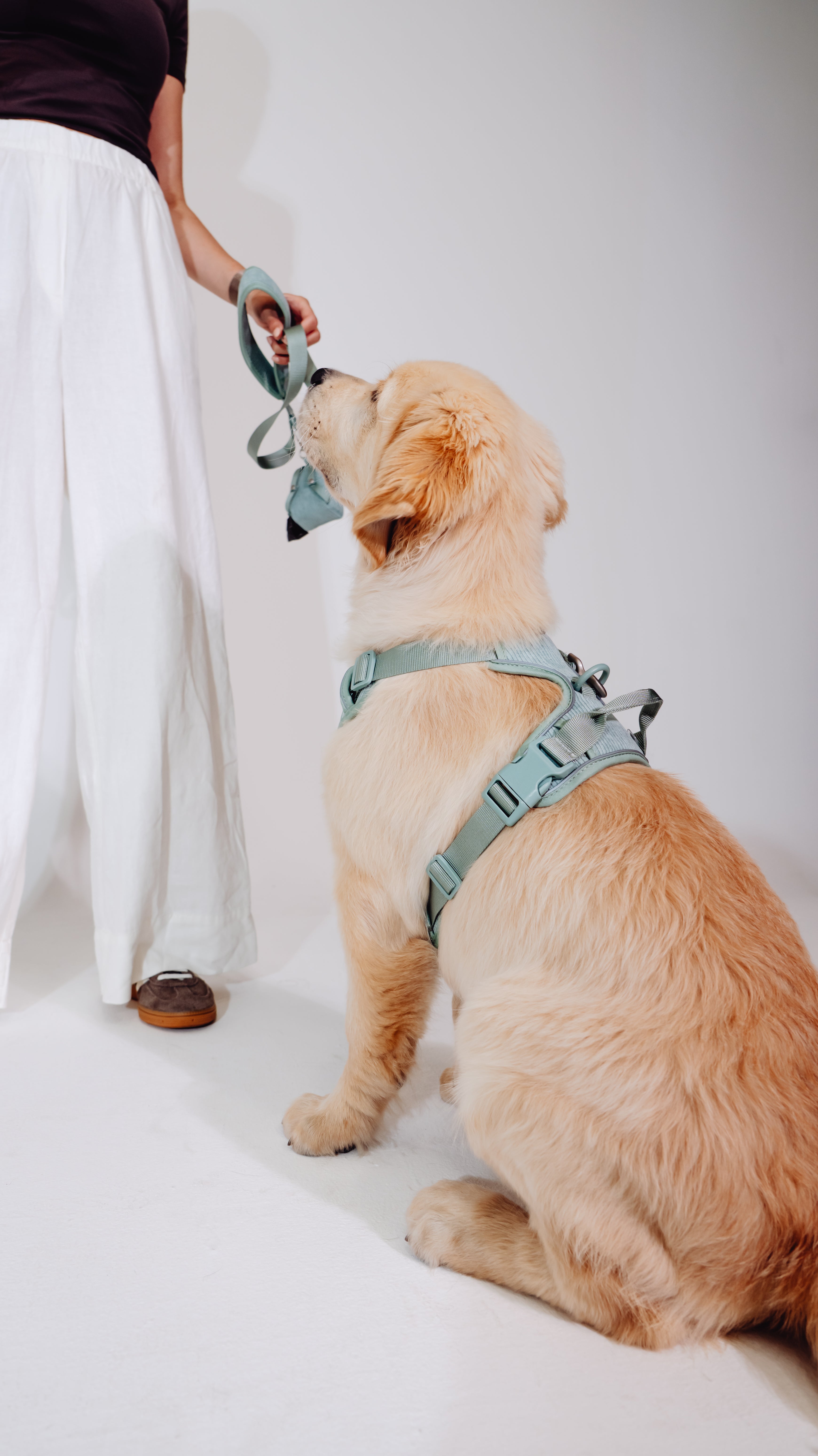 Matcha Grün Cordélia Geschirr Set