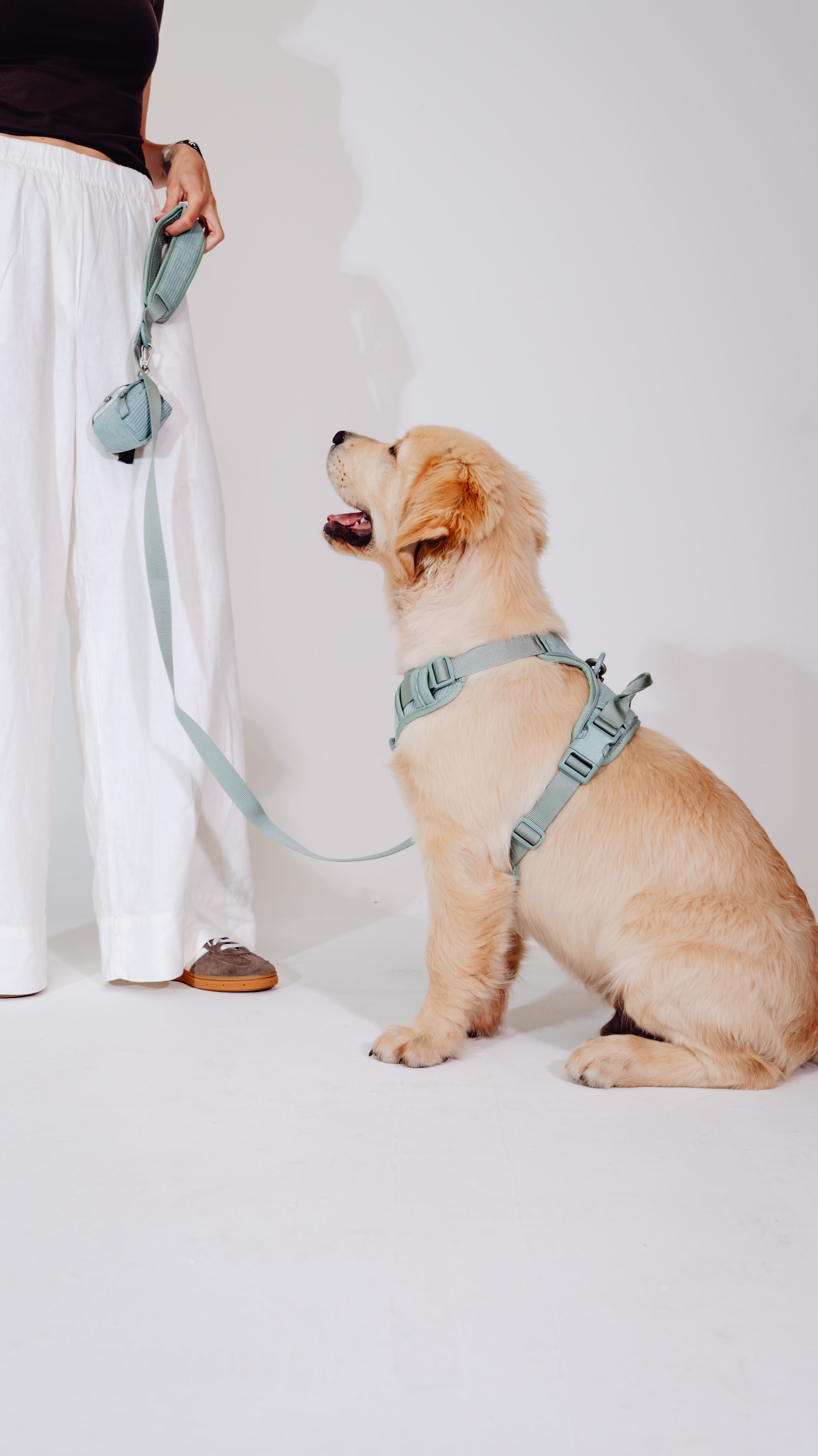 Matcha Grün Cordélia Geschirr Set