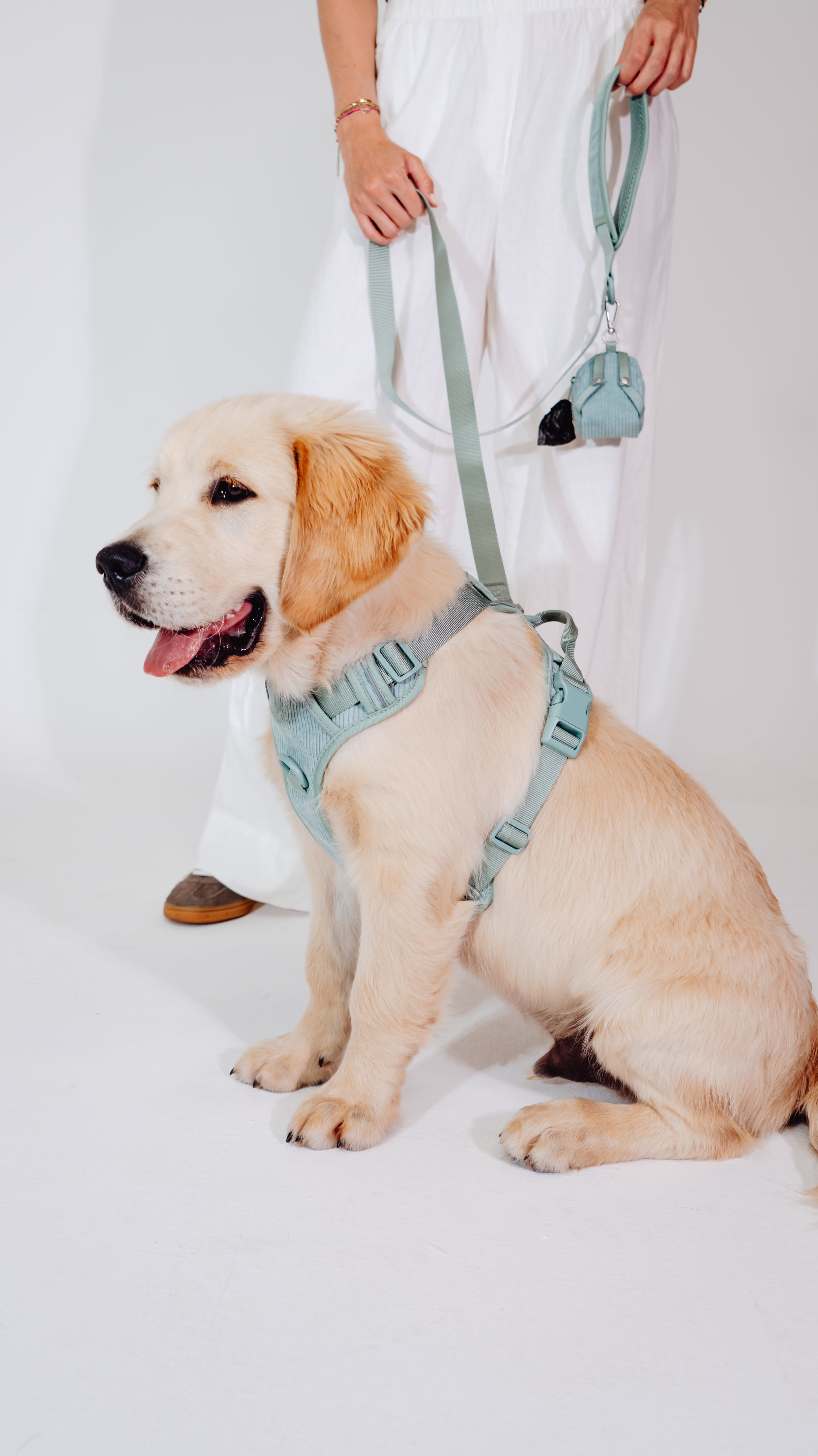 Matcha Grün Cordélia Geschirr Set