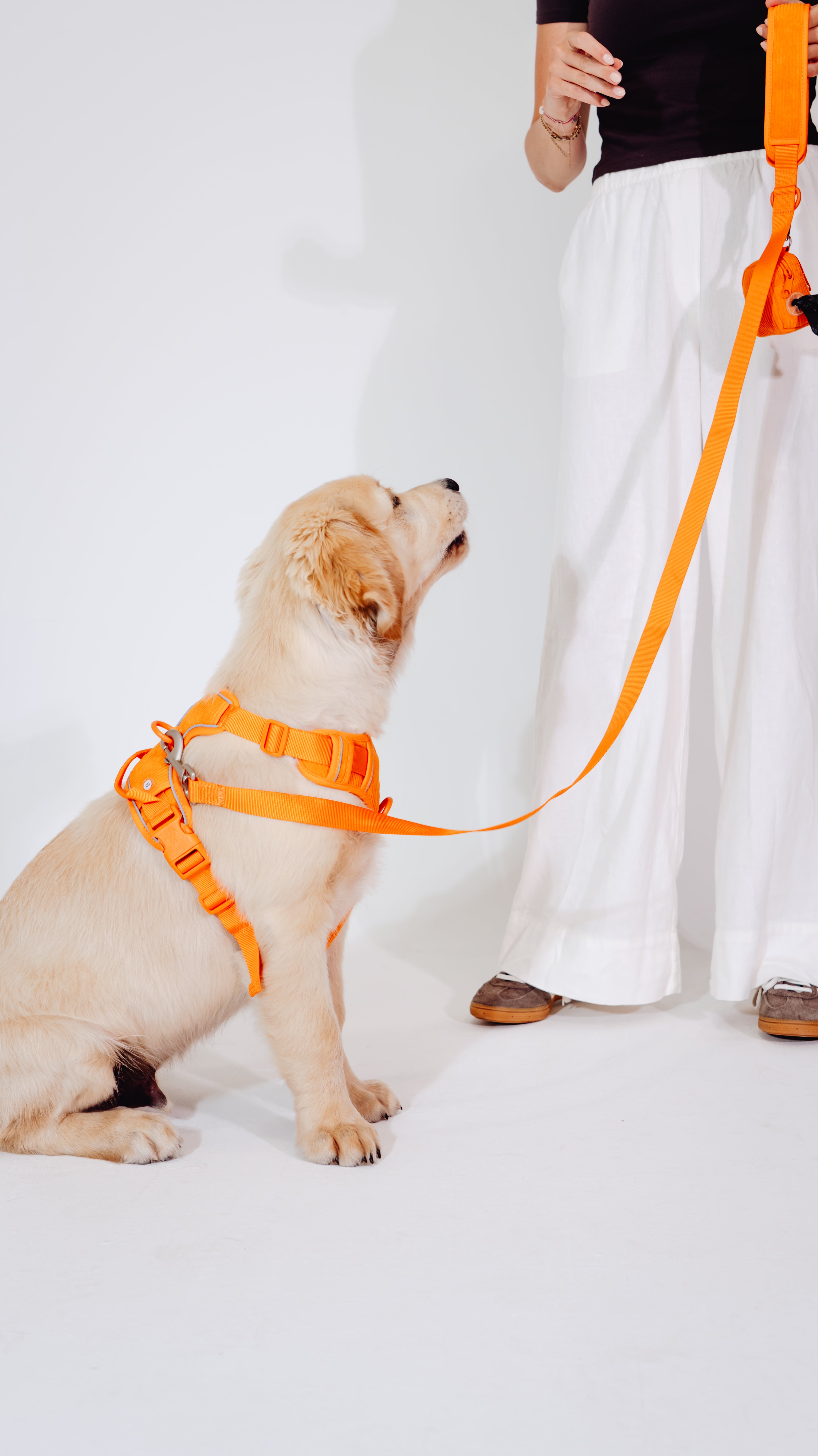 Aprikosenkuss Cordélia Geschirr Set