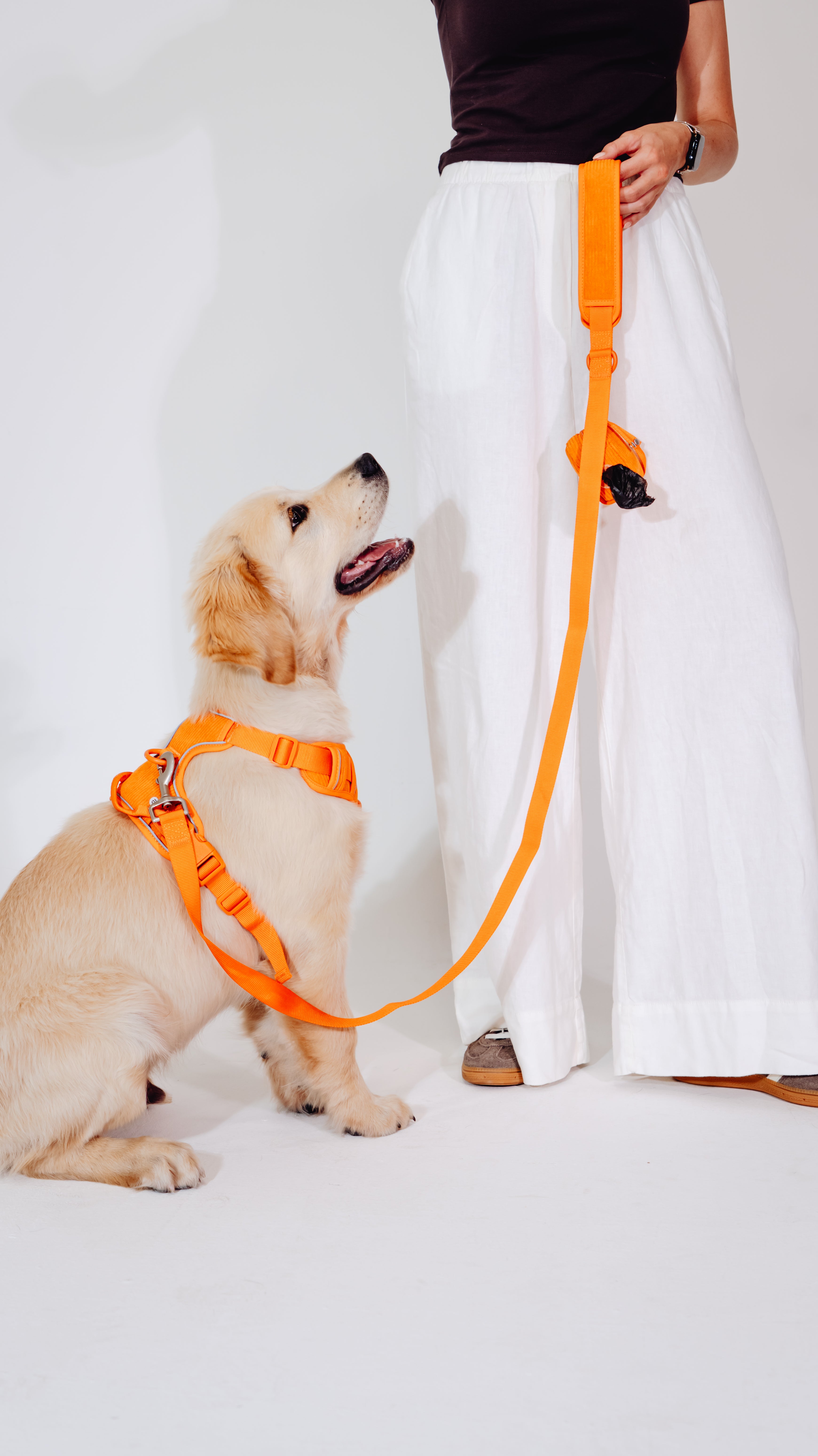 Aprikosenkuss Cordélia Geschirr Set