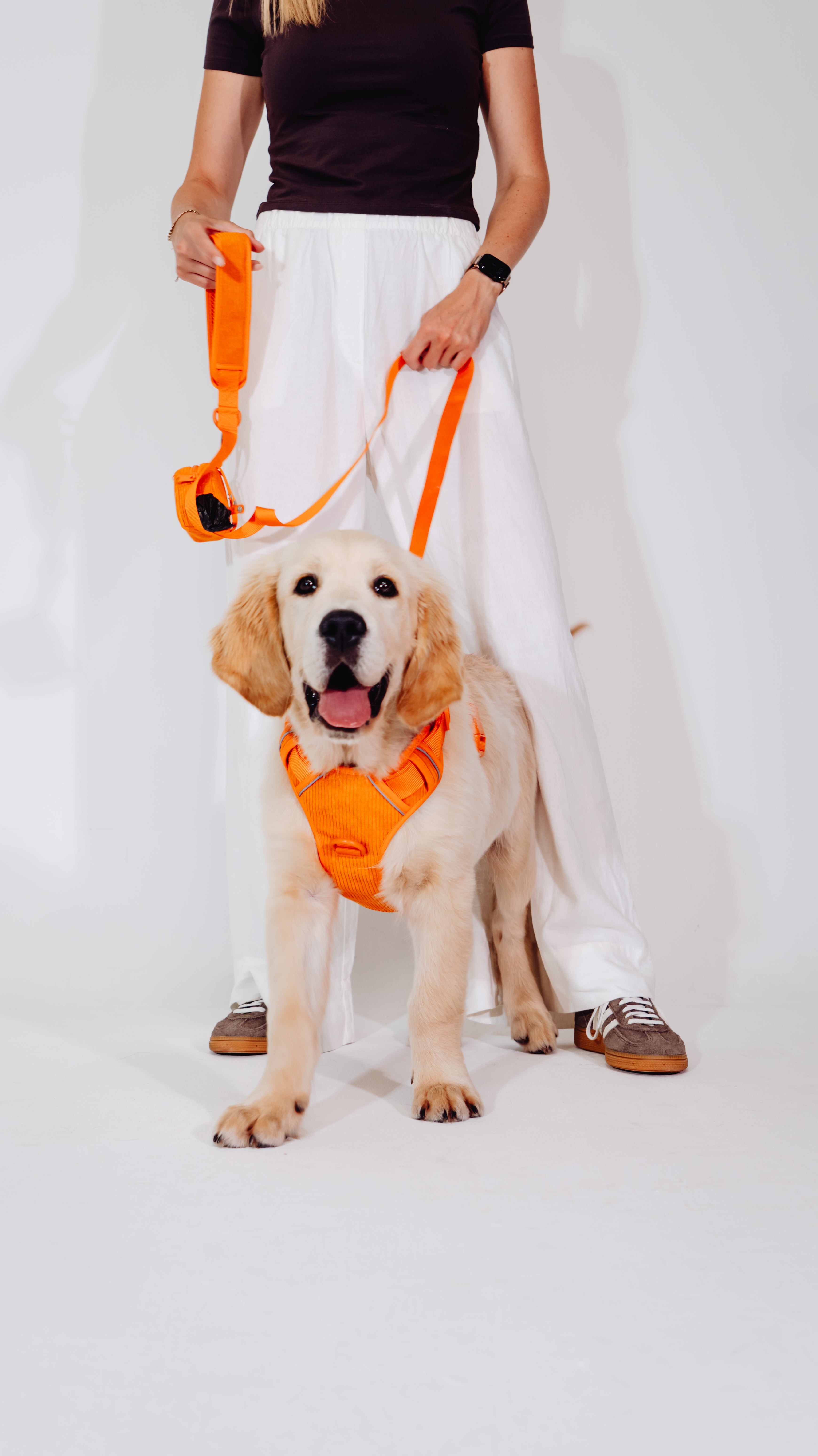 Aprikosenkuss Cordélia Geschirr Set