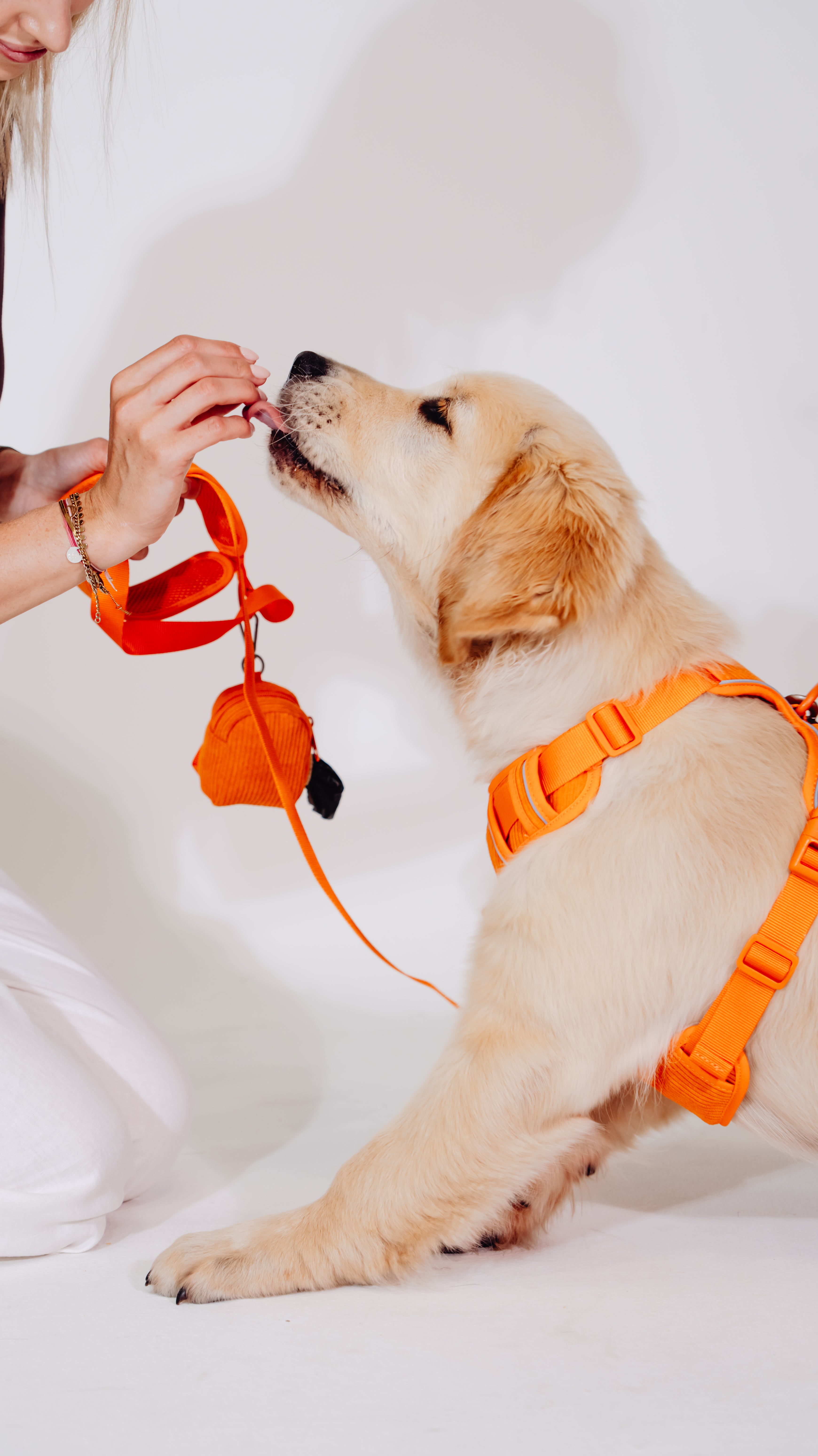 Aprikosenkuss Cordélia Geschirr Set