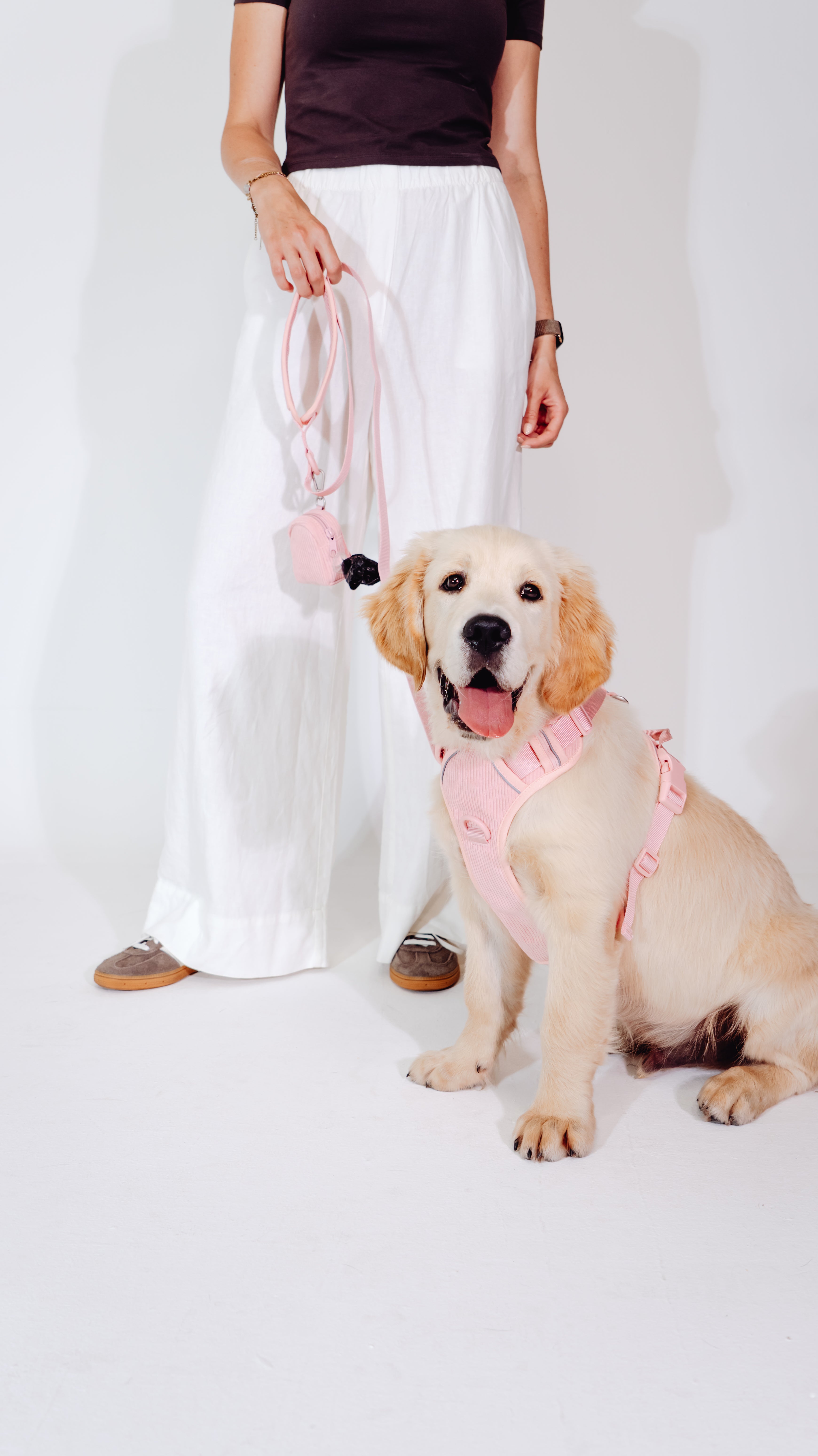 Rose Cordélia Geschirr Set