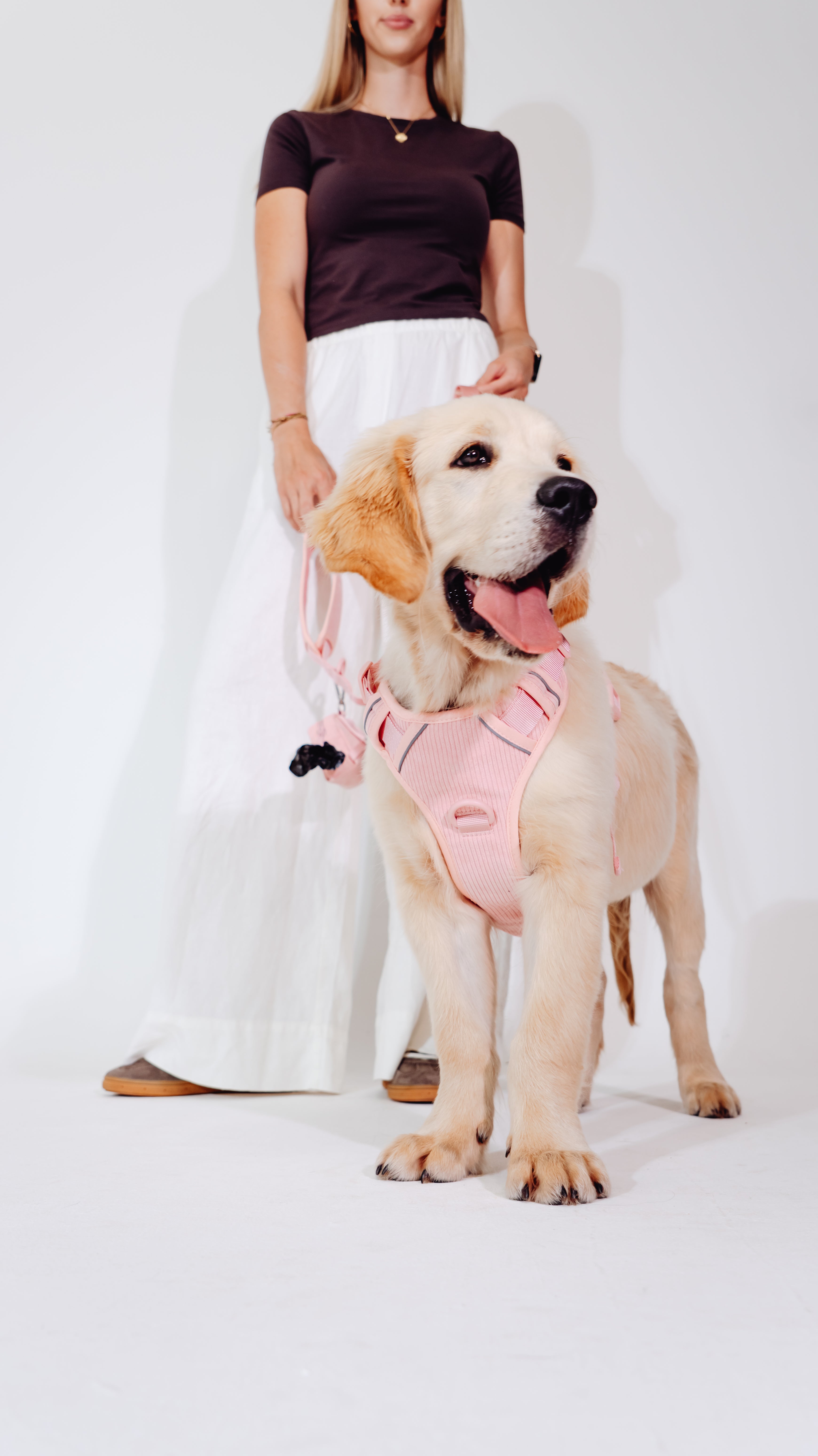 Rose Cordélia Geschirr Set