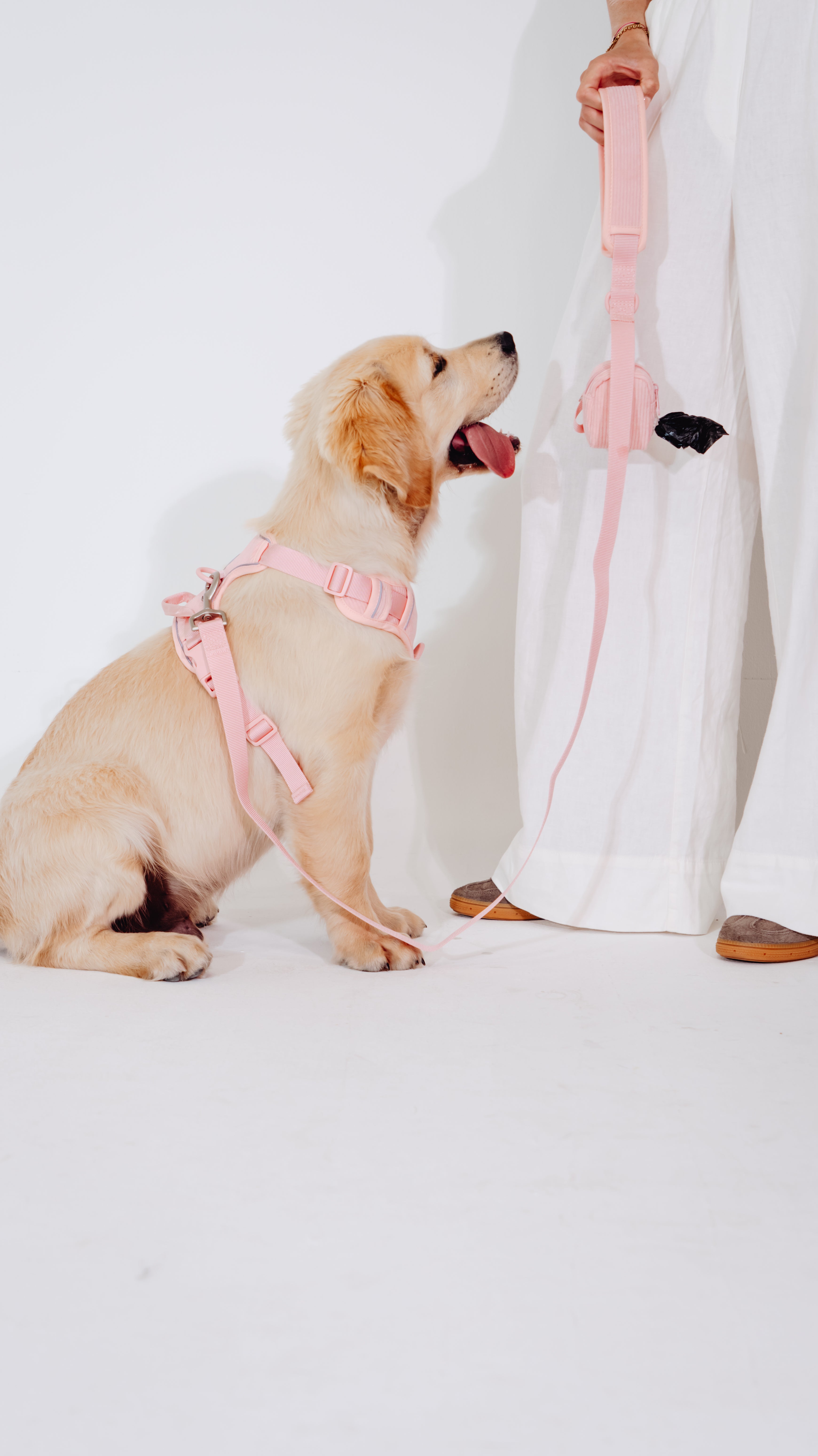 Rose Cordélia Geschirr Set