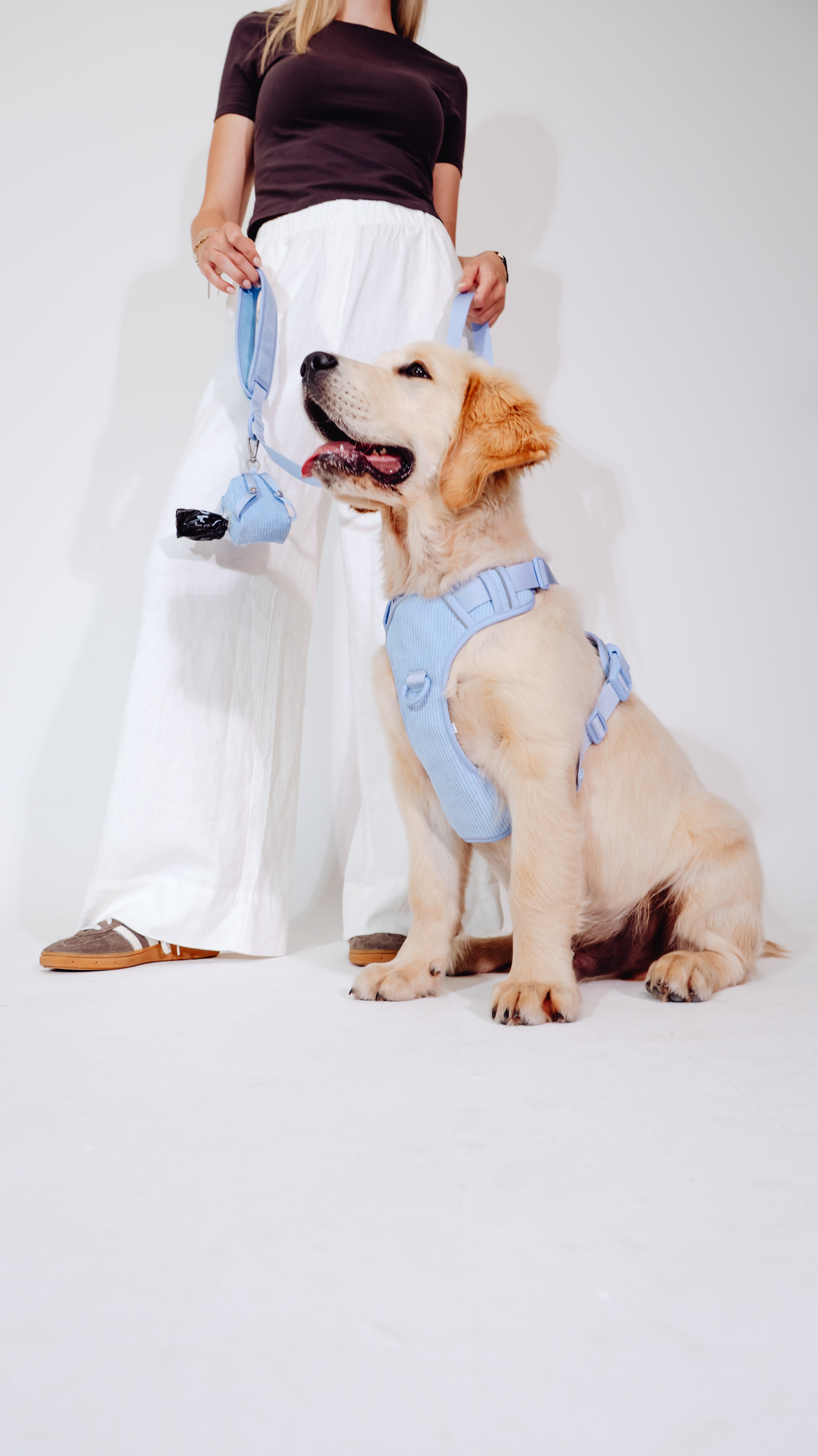 Lavendel Eis Cordélia Geschirr Set