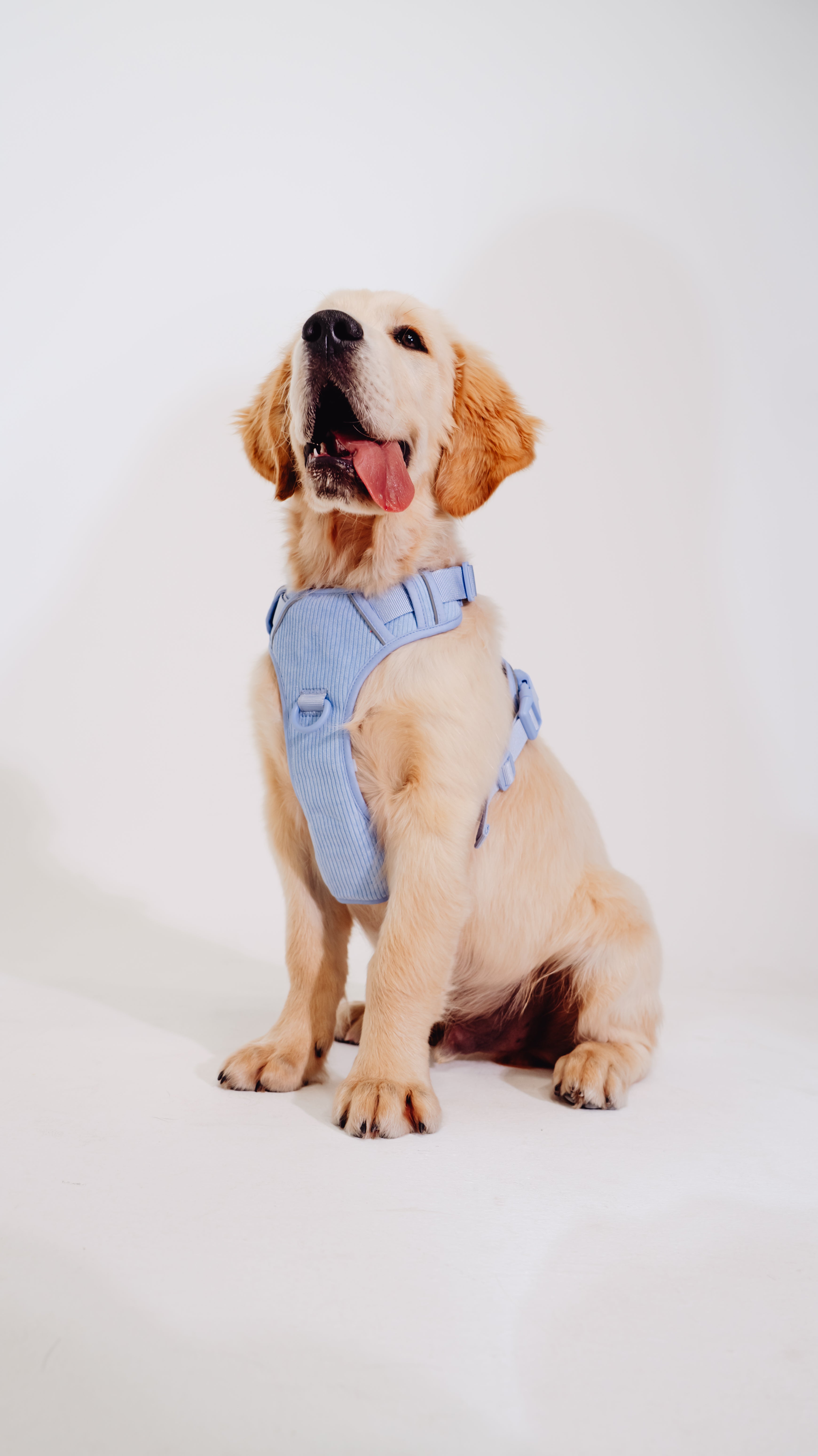 Lavendel Eis Cordélia Geschirr Set