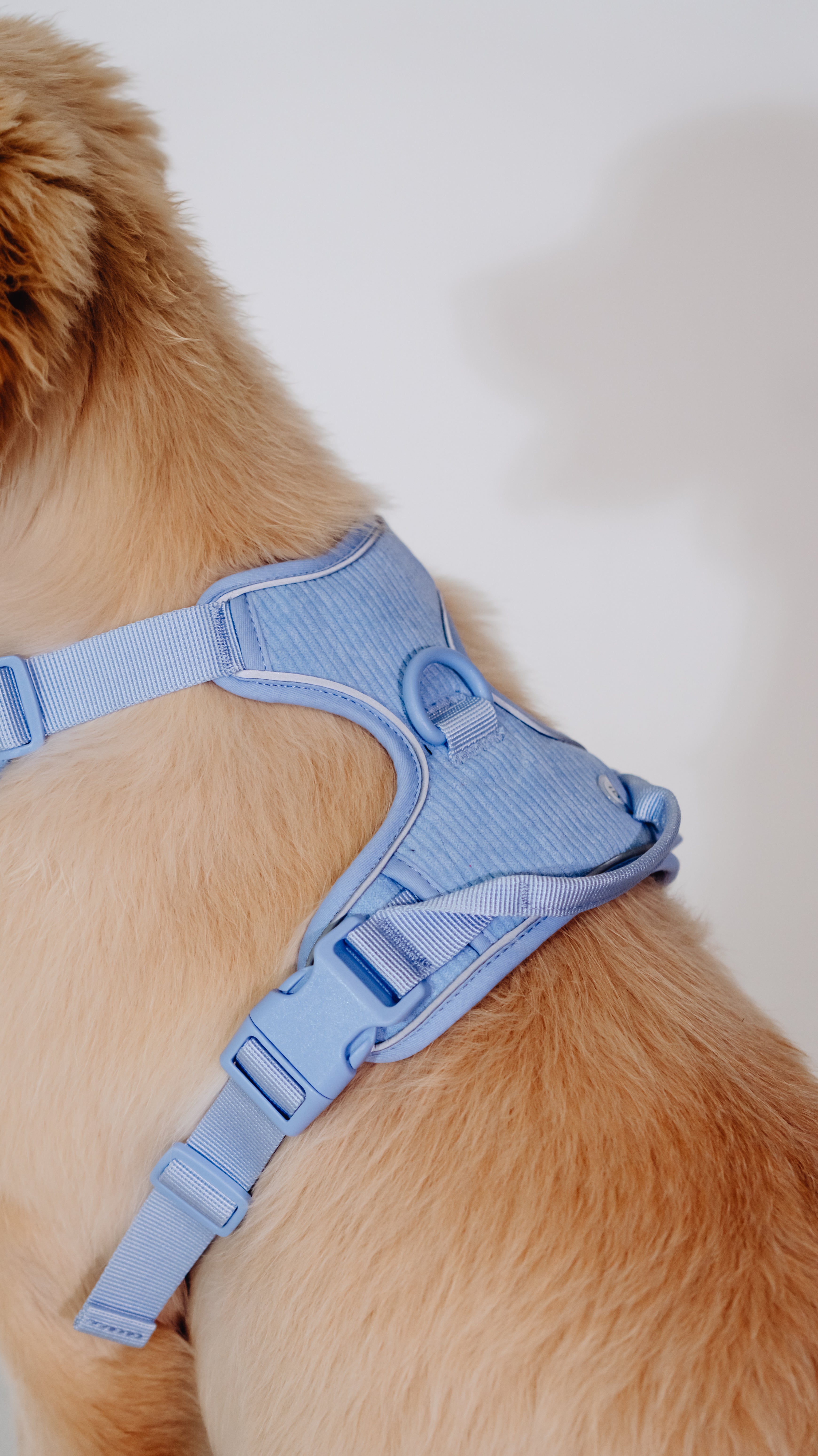 Lavendel Eis Cordélia Geschirr Set