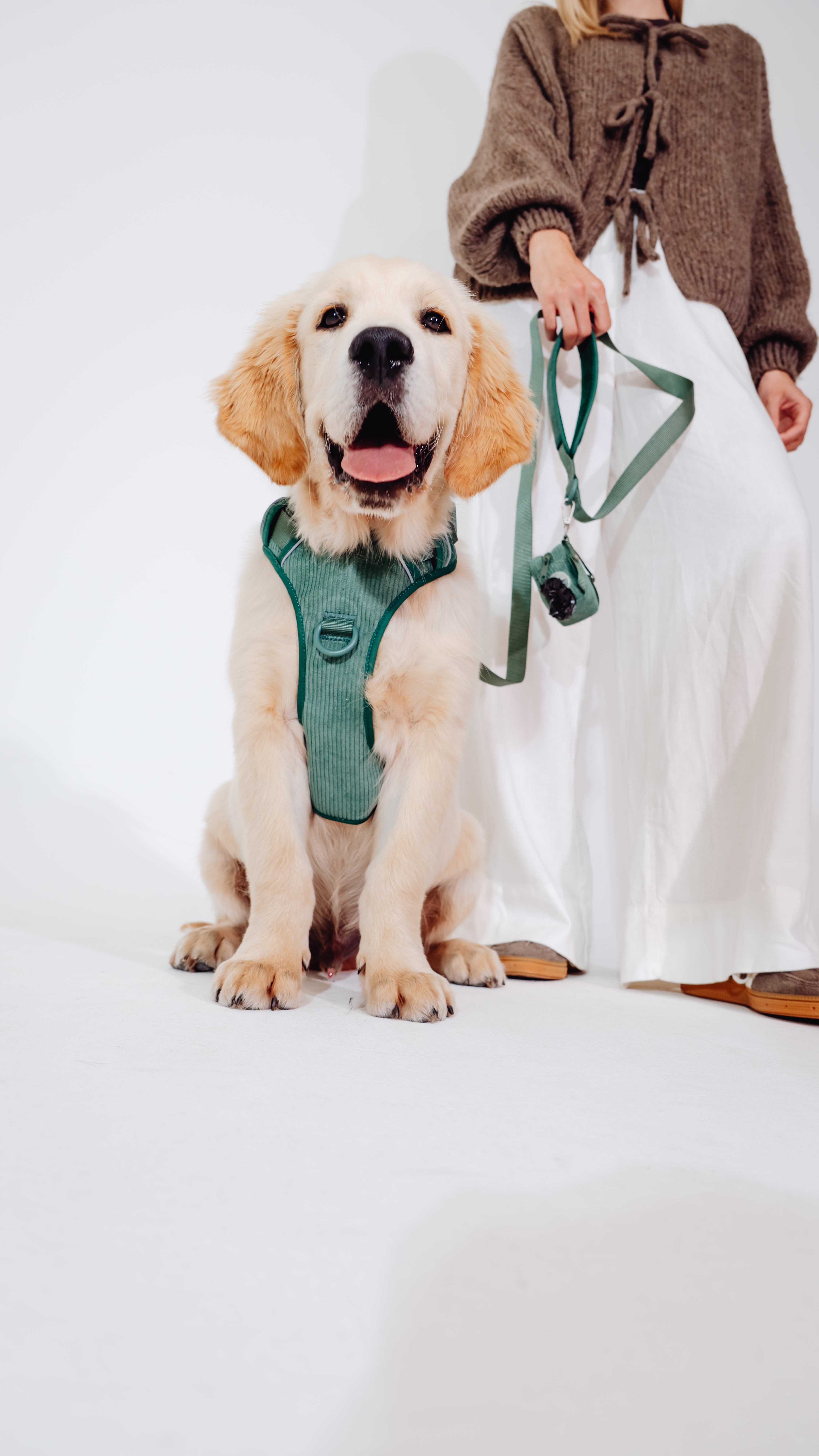 Tannenzauber Cordélia Geschirr Set