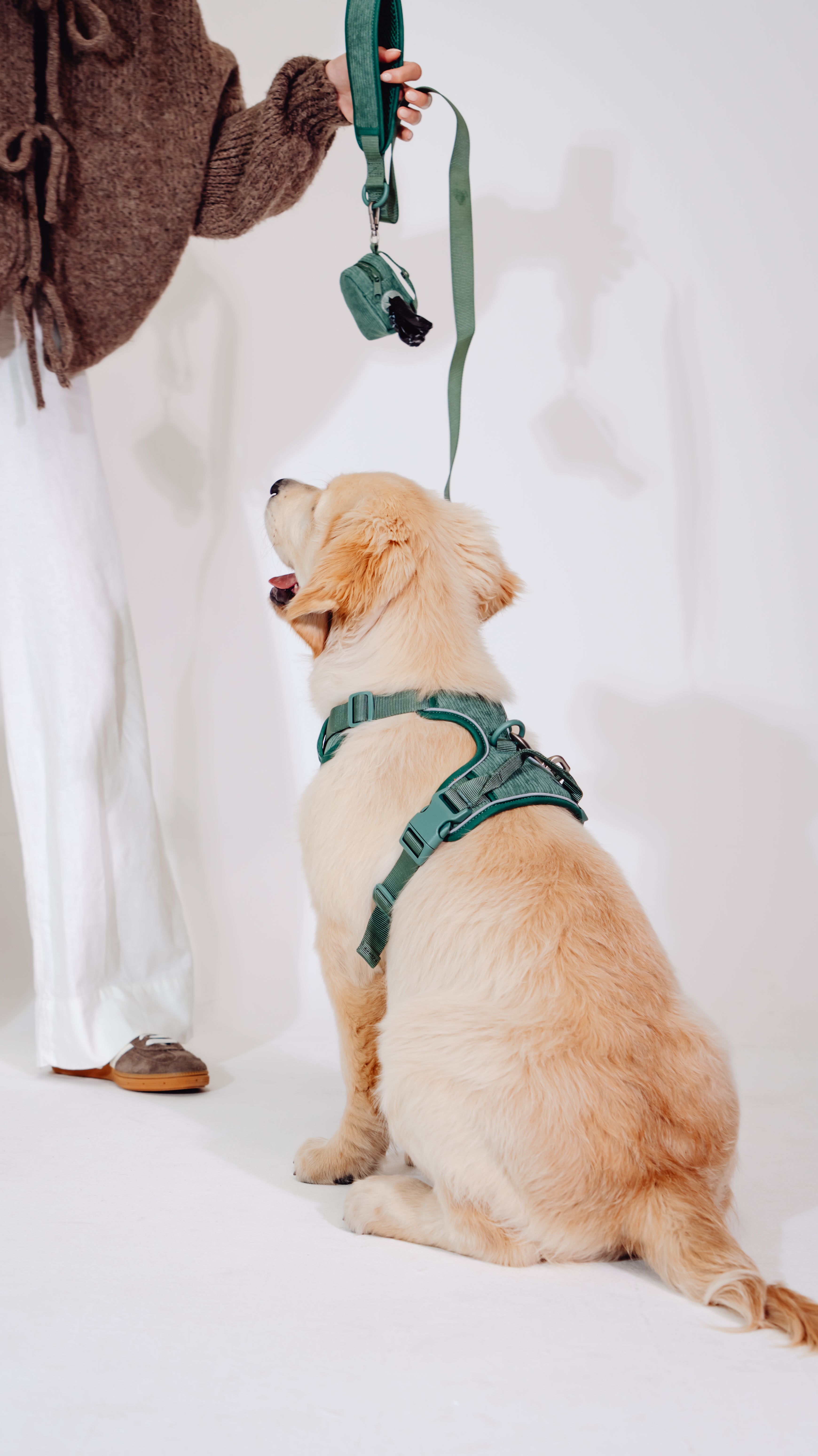 Tannenzauber Cordélia Geschirr Set