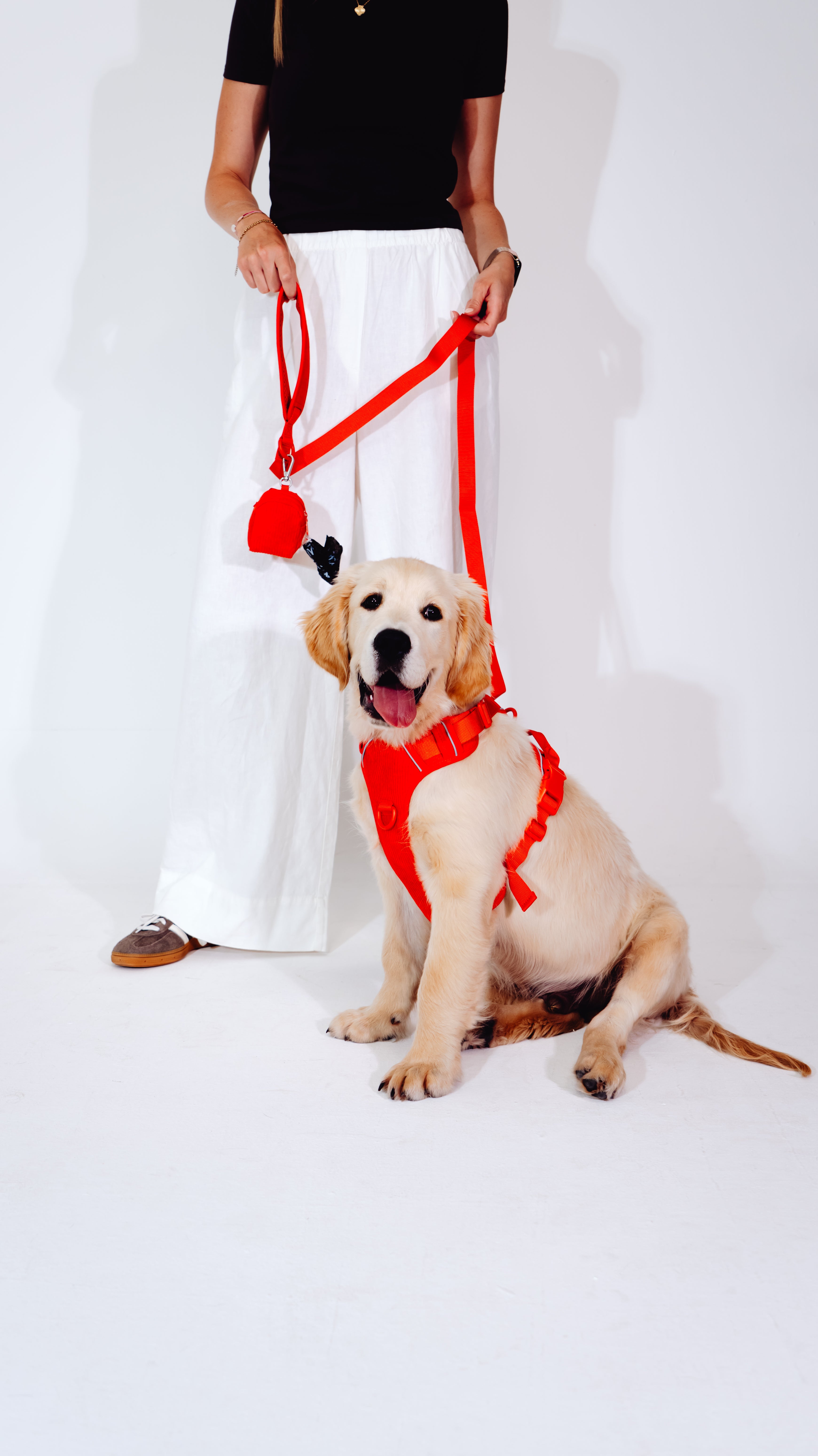 Berry Cordélia Geschirr