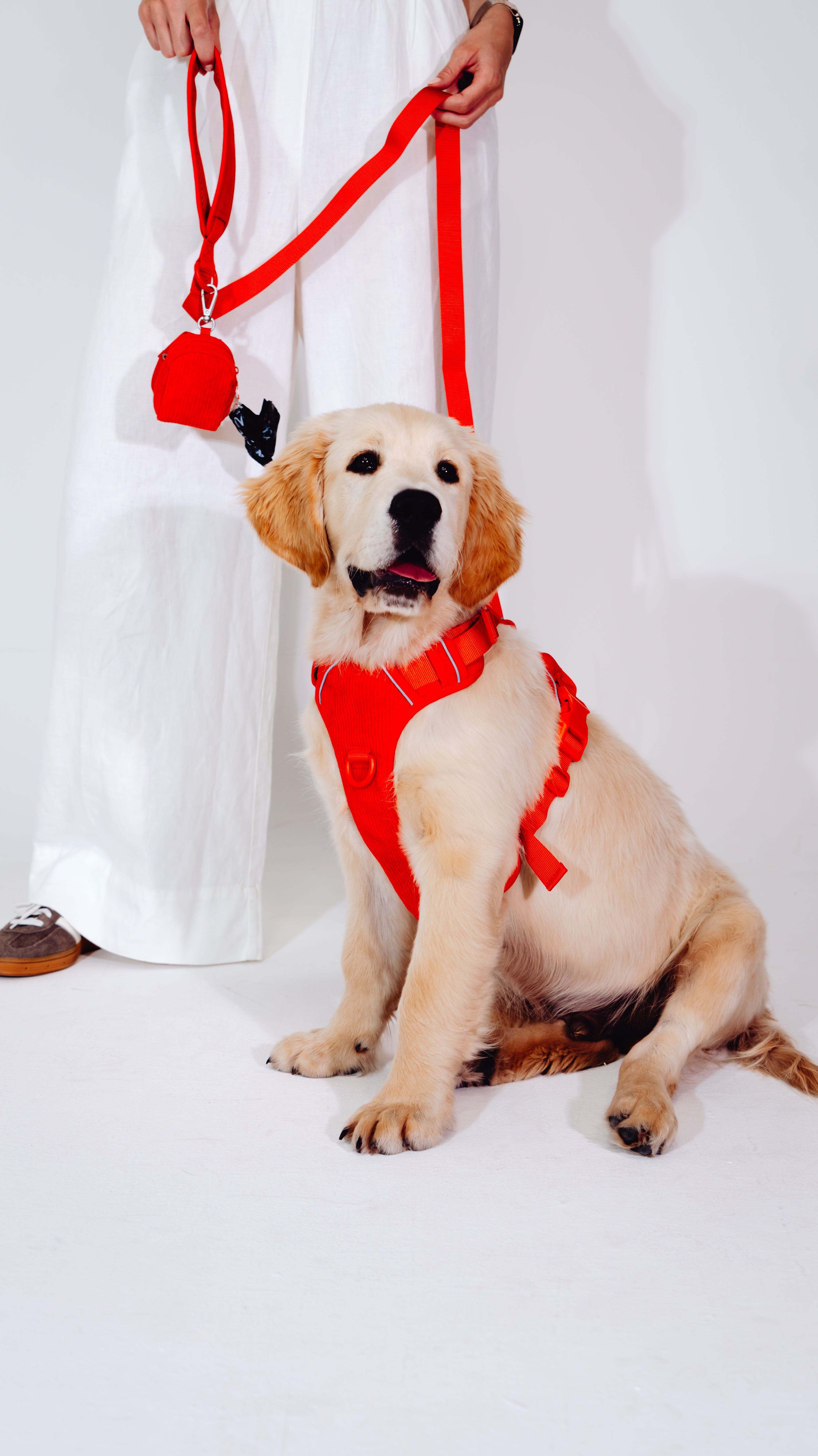 Berry Cordélia Geschirr