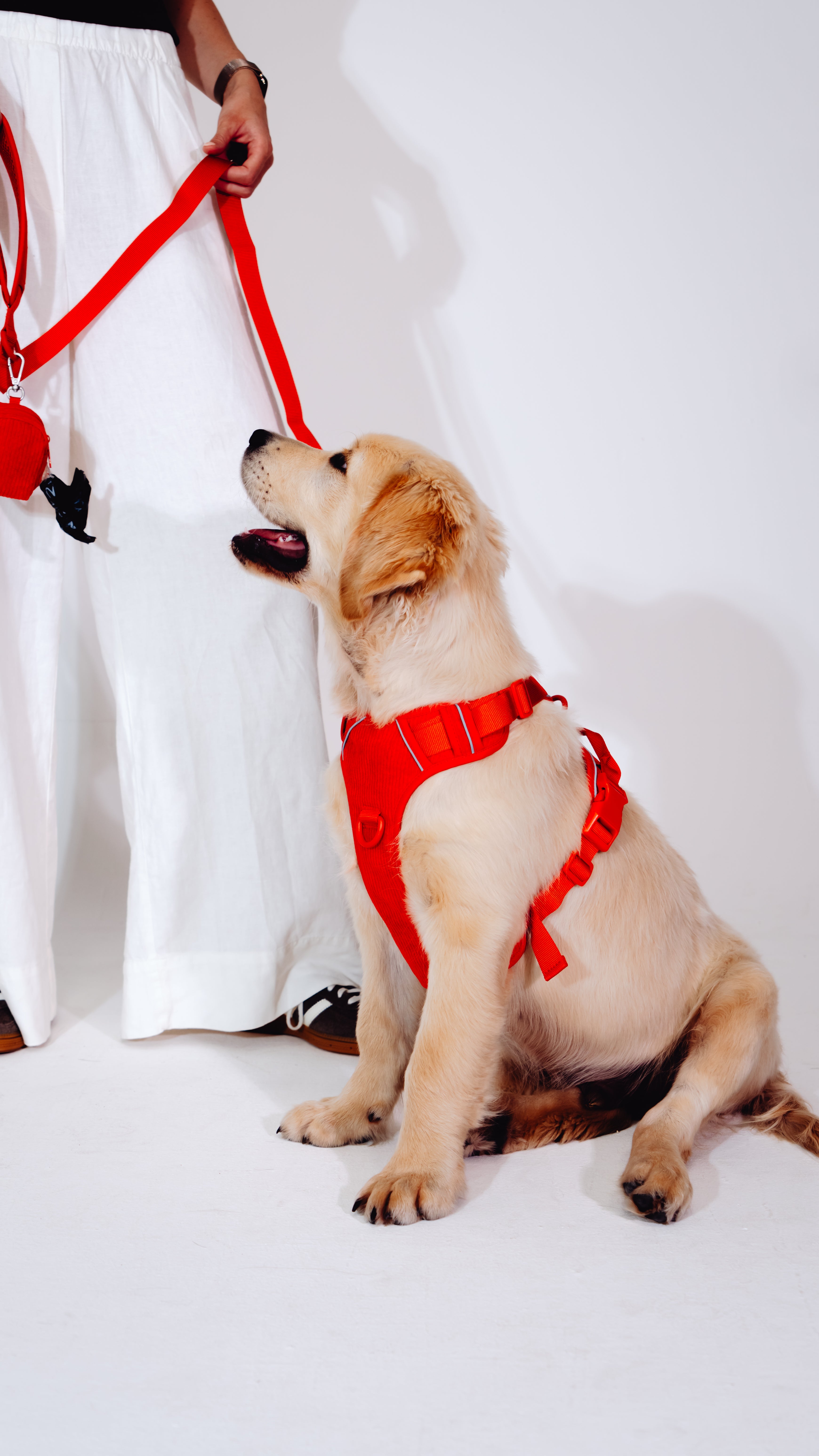 Berry Cordélia Geschirr Set