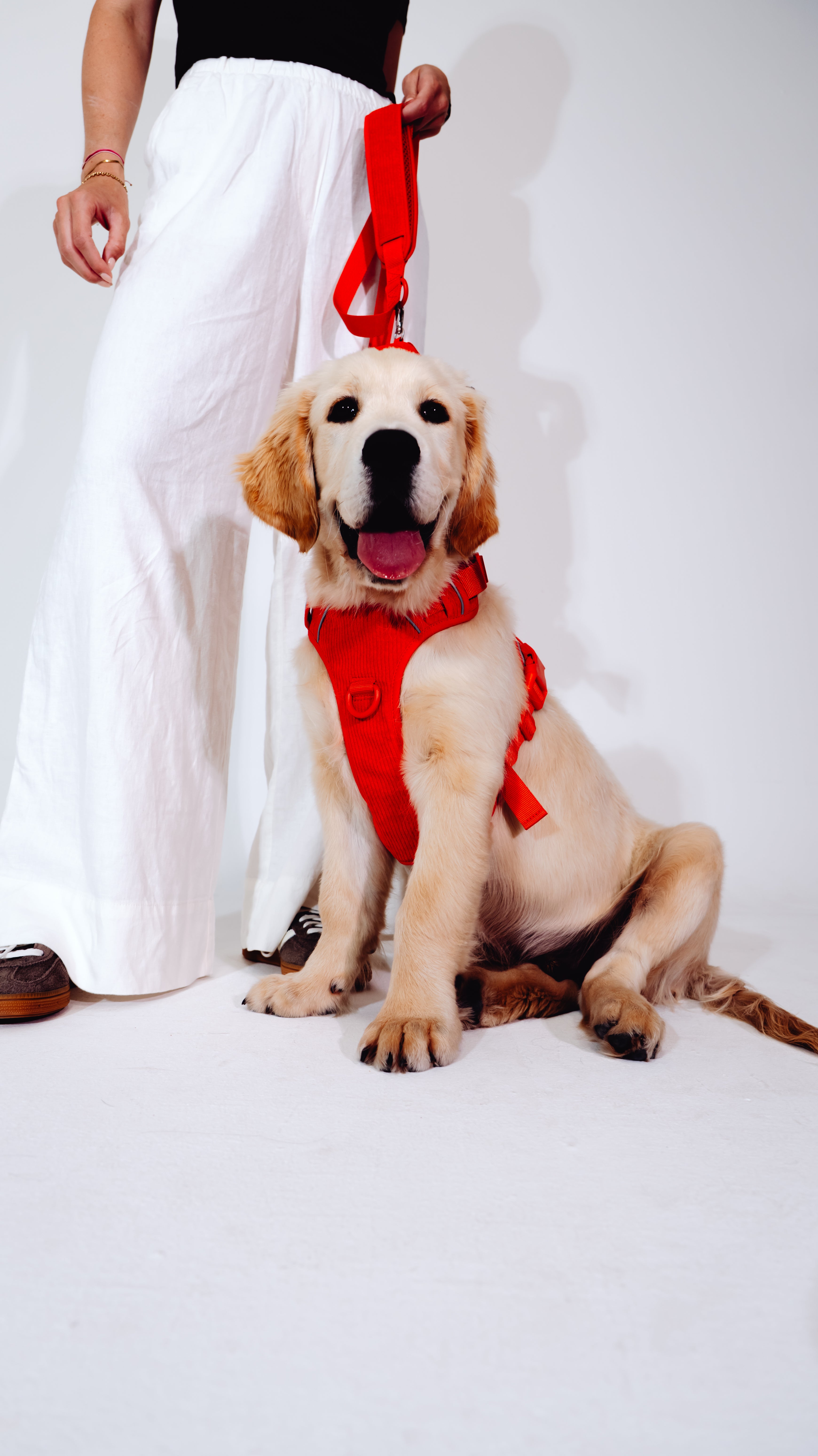 Berry Cordélia Geschirr Set