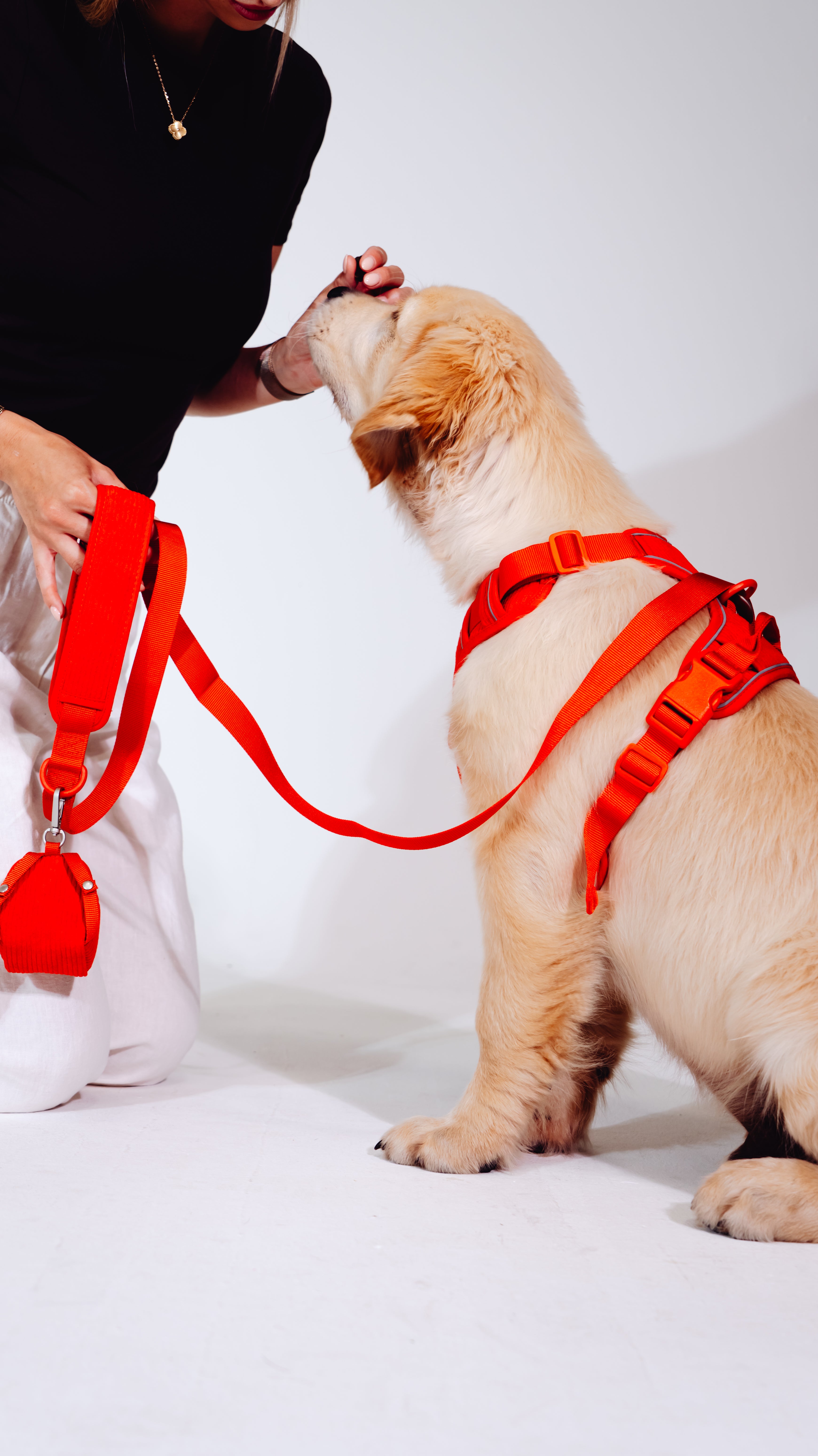 Berry Cordélia Geschirr