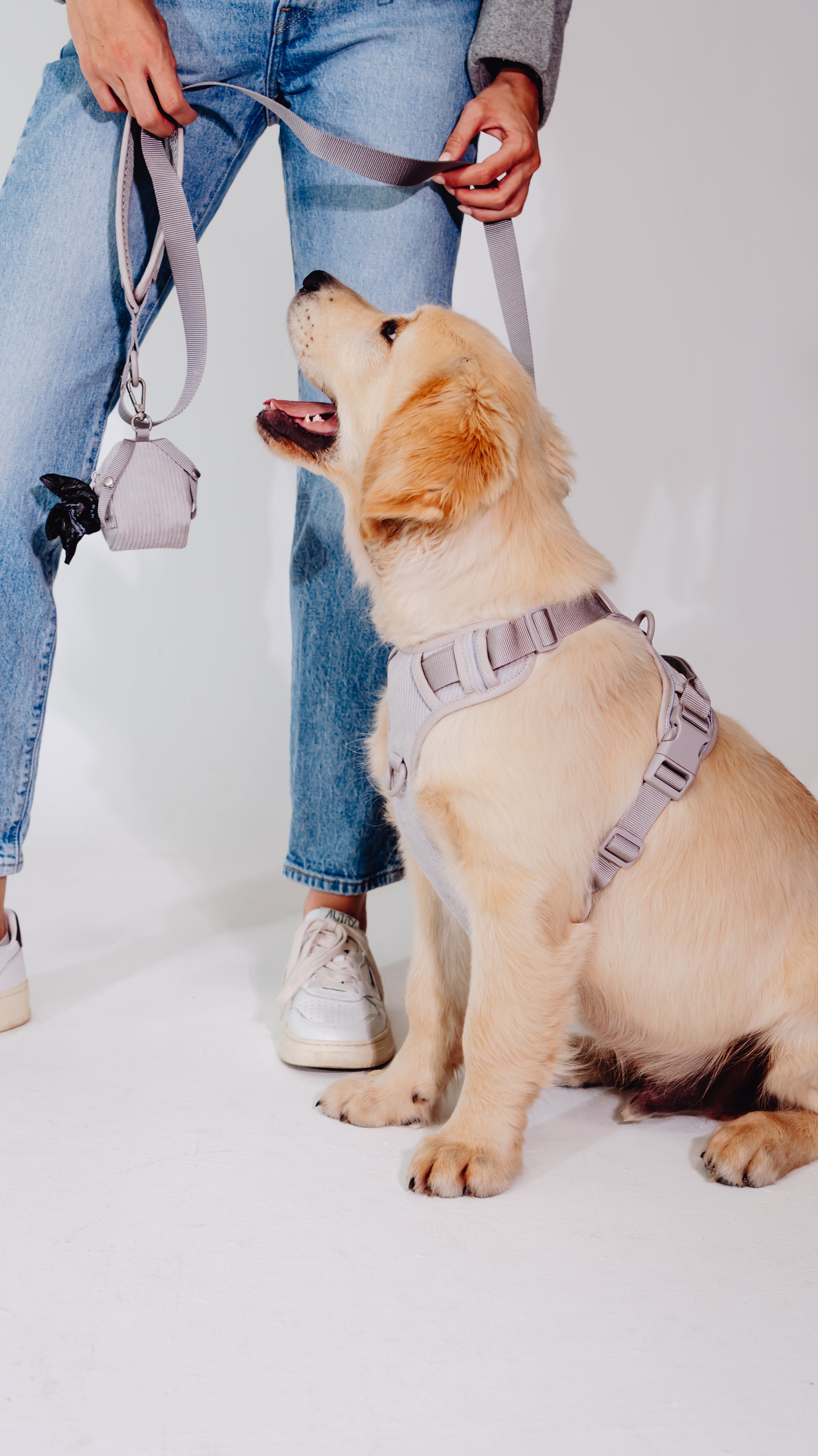 Eukalyptus Cordélia Geschirr