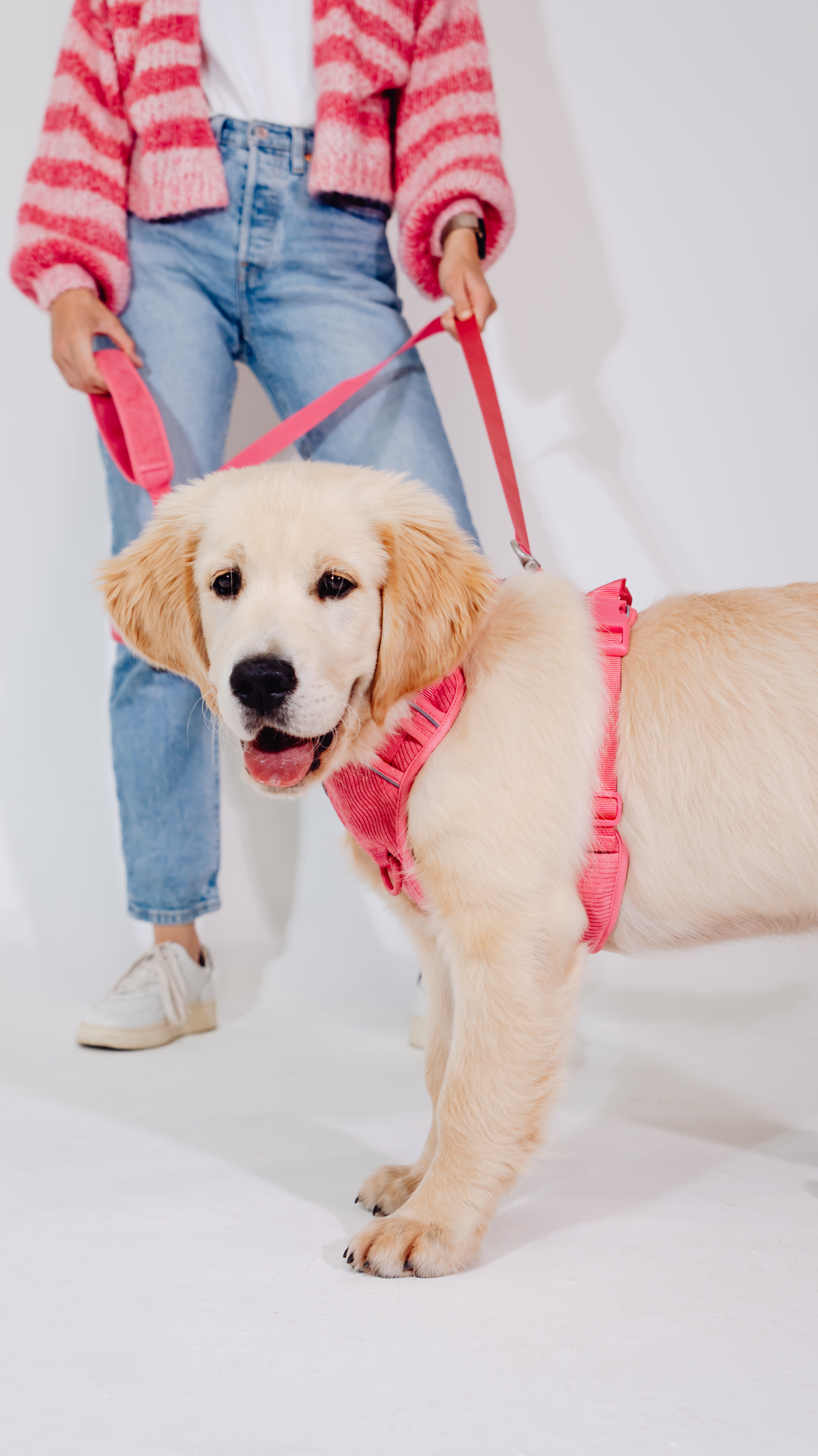 Pink Punch Cordélia Geschirr