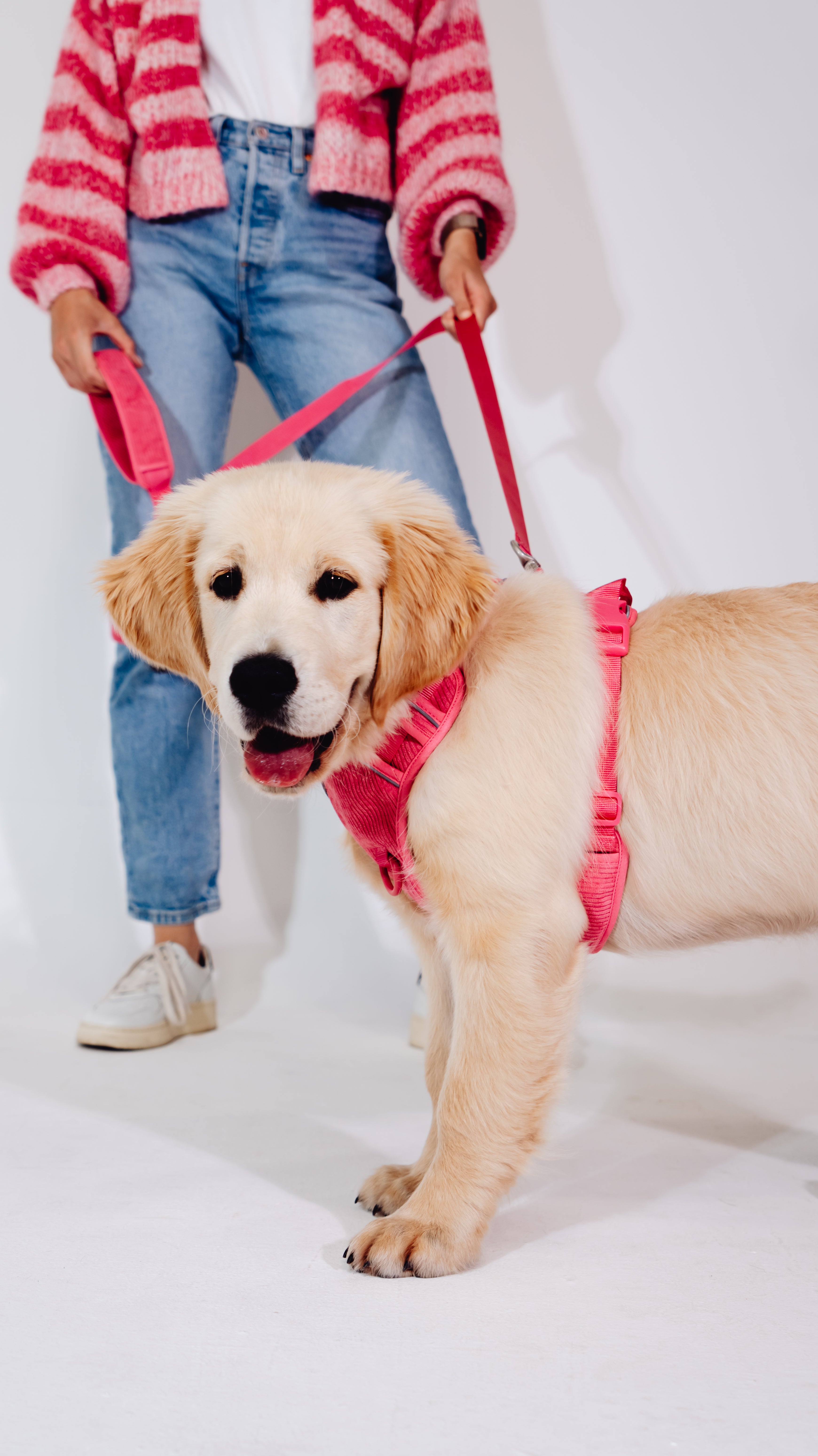 Pink Punch Cordélia Geschirr Set