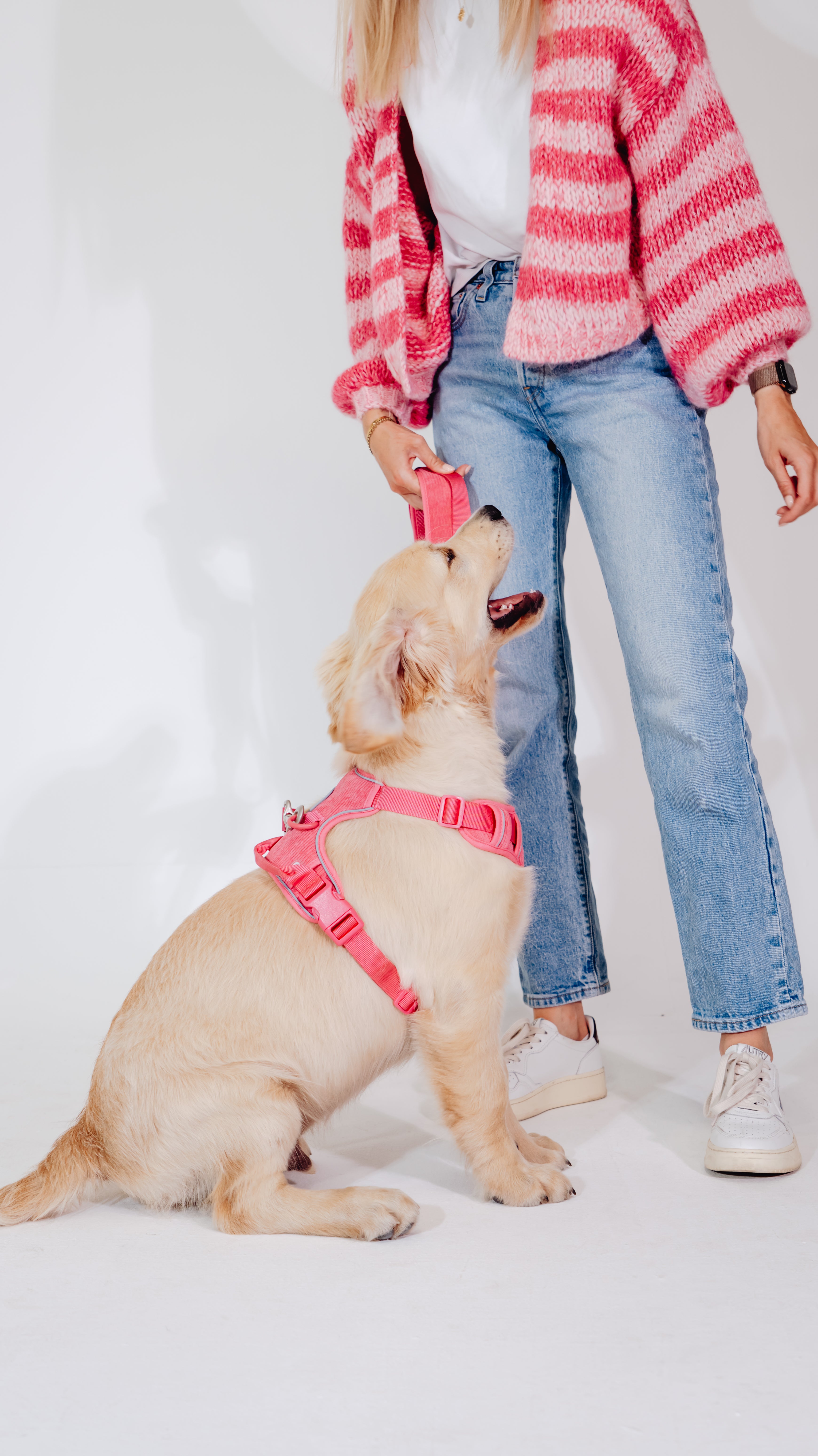 Pink Punch Cordélia Geschirr