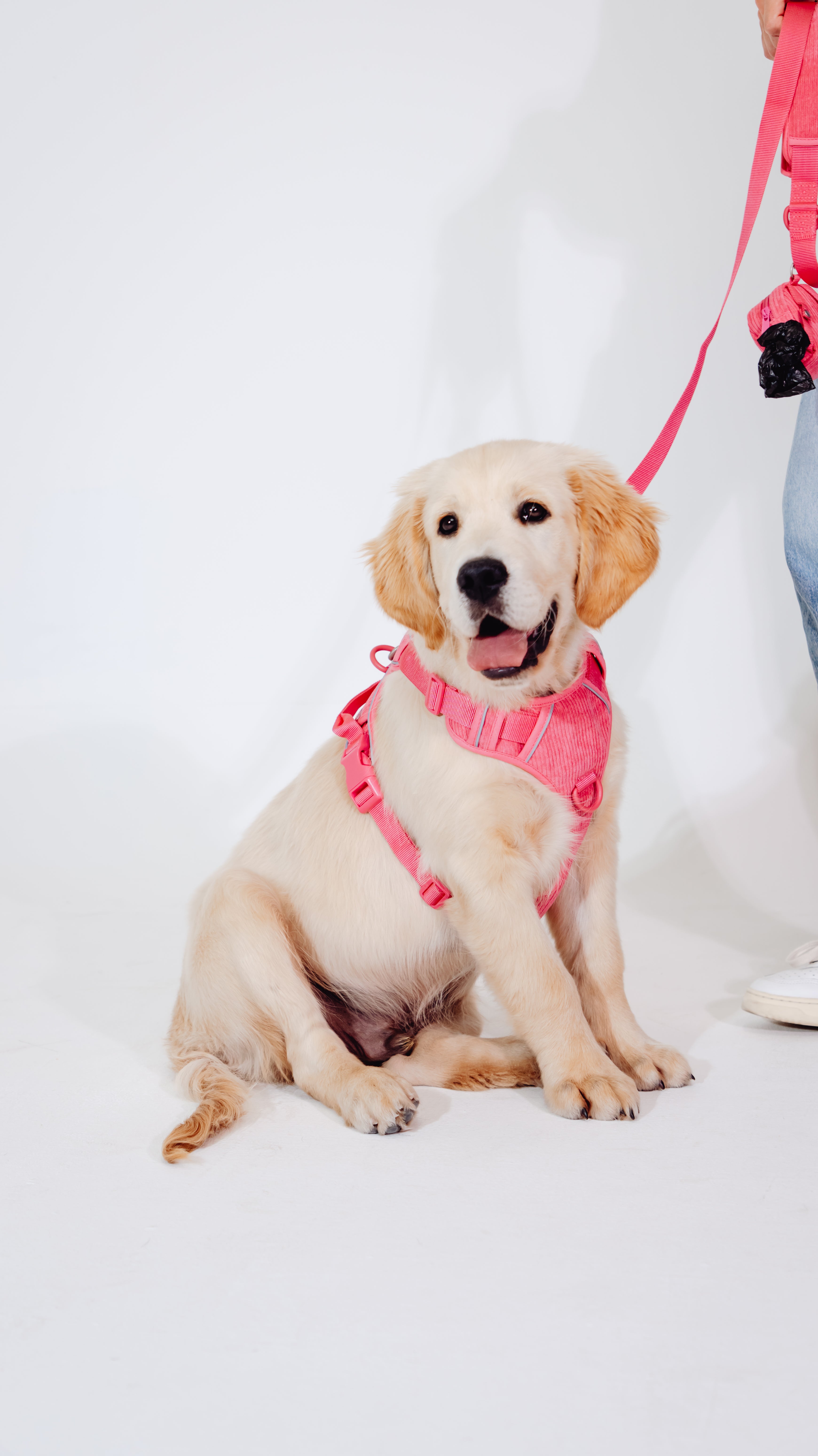 Pink Punch Cordélia Geschirr