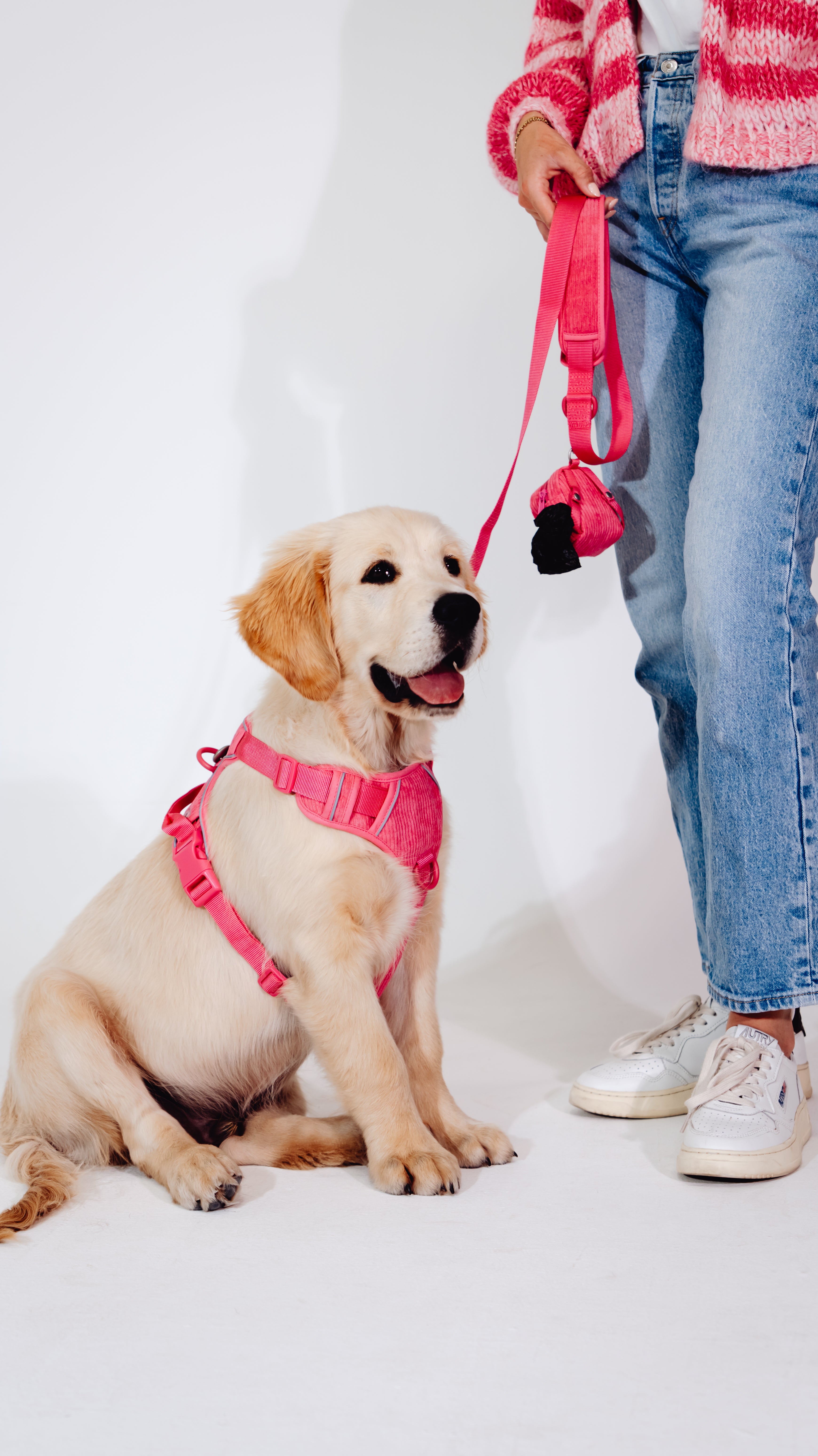 Pink Punch Cordélia Geschirr Set