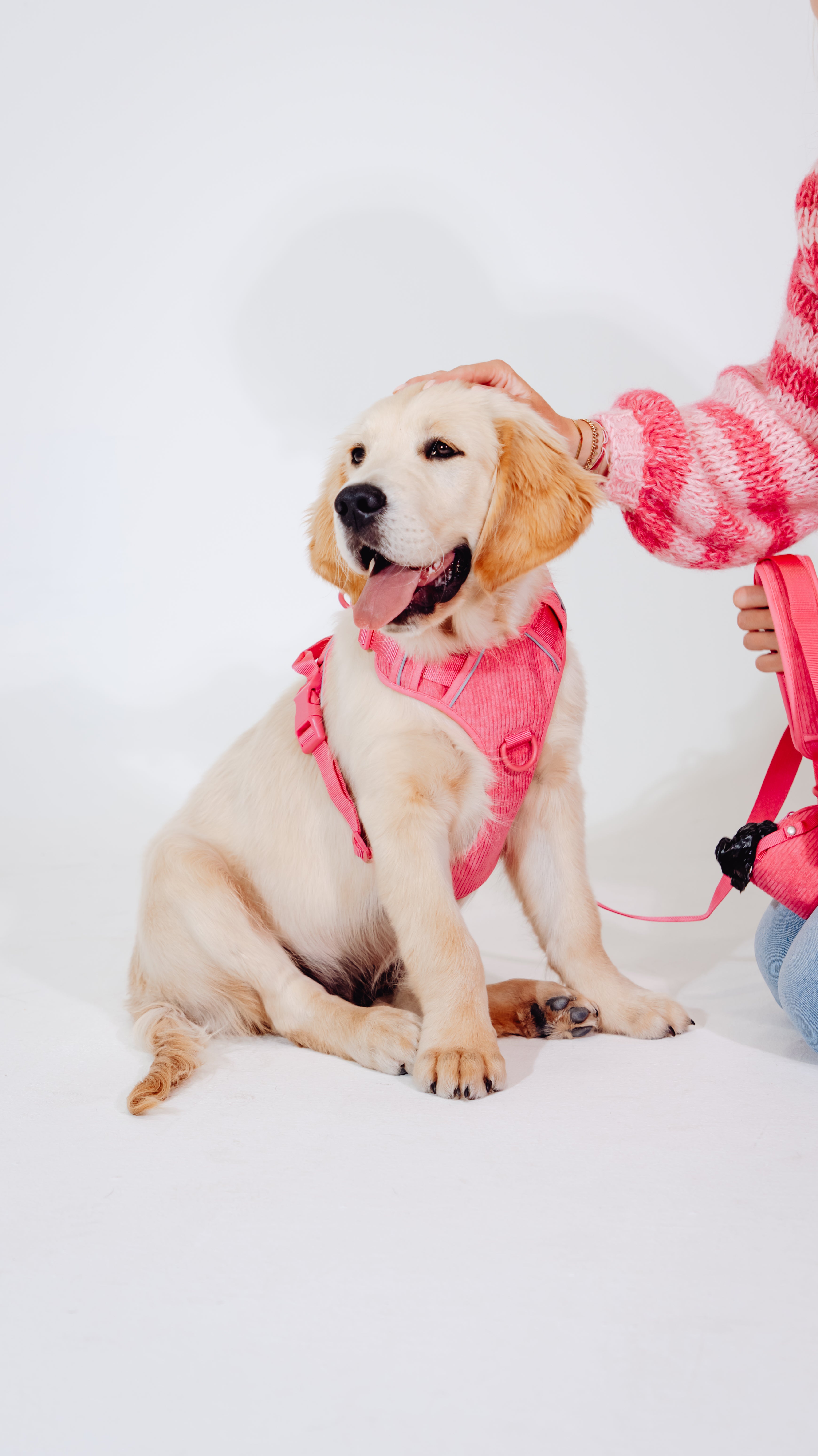 Pink Punch Cordélia Geschirr