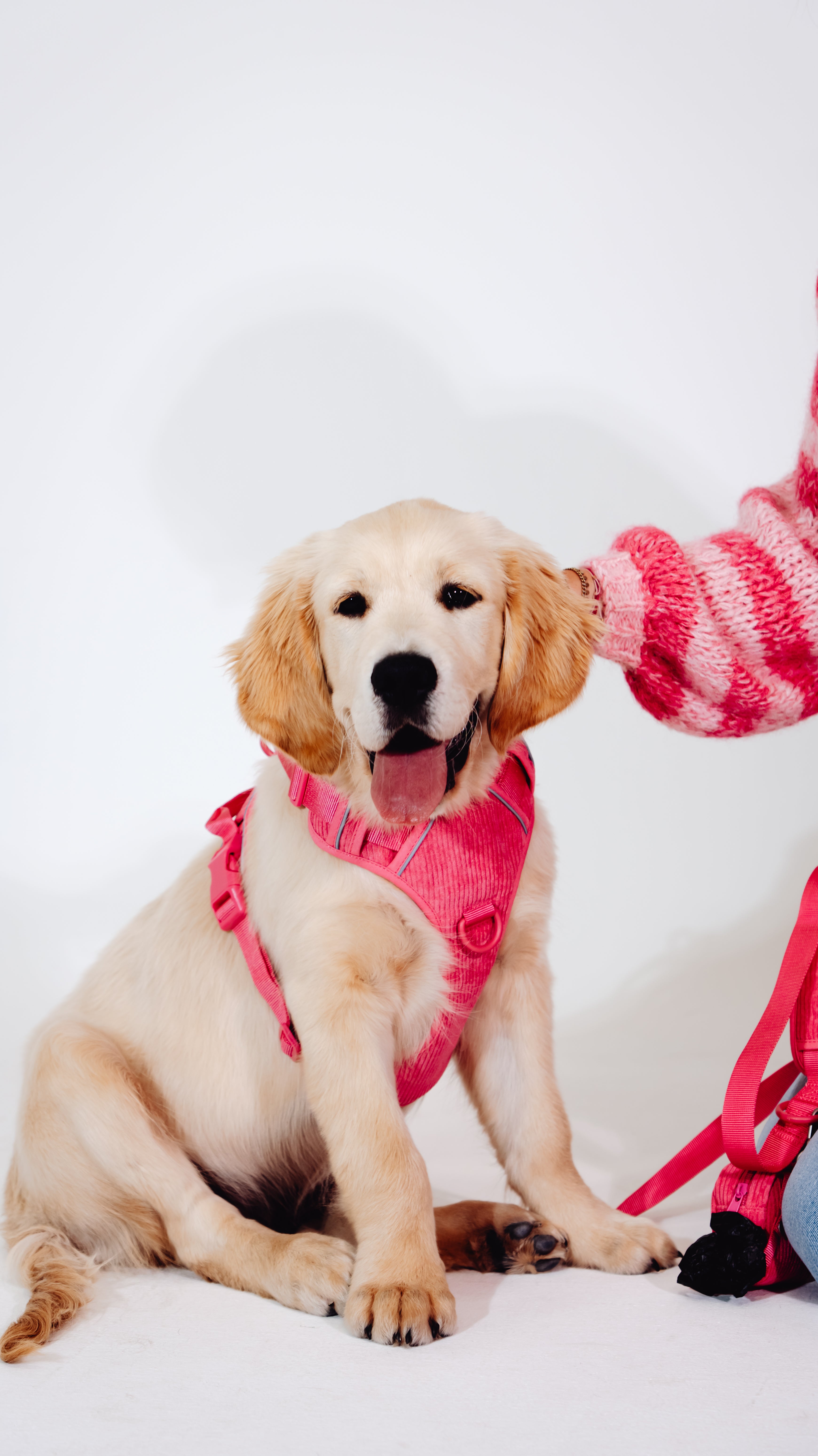 Pink Punch Cordélia Geschirr Set