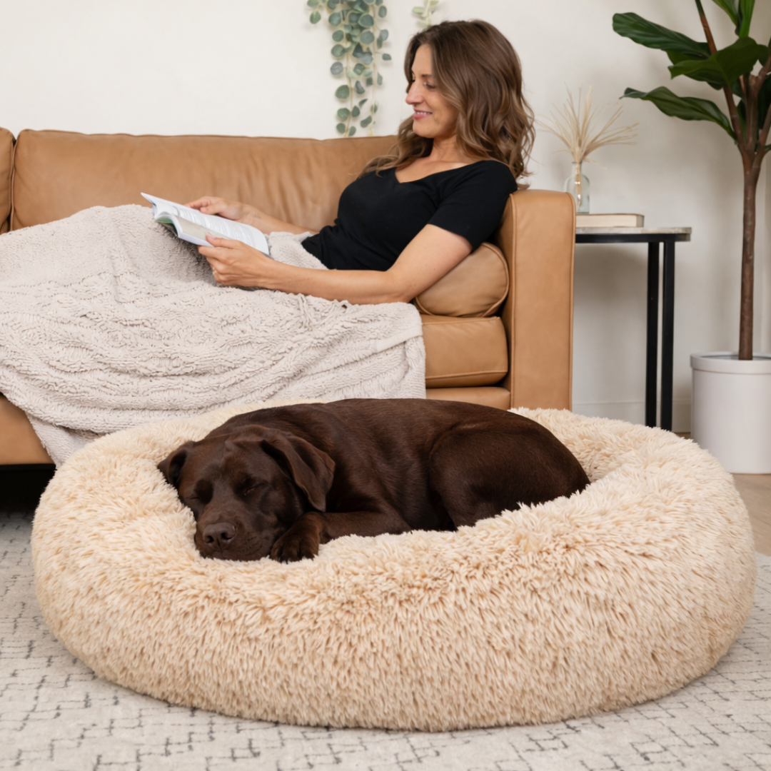 Cloud - Kuscheliges Hundebett