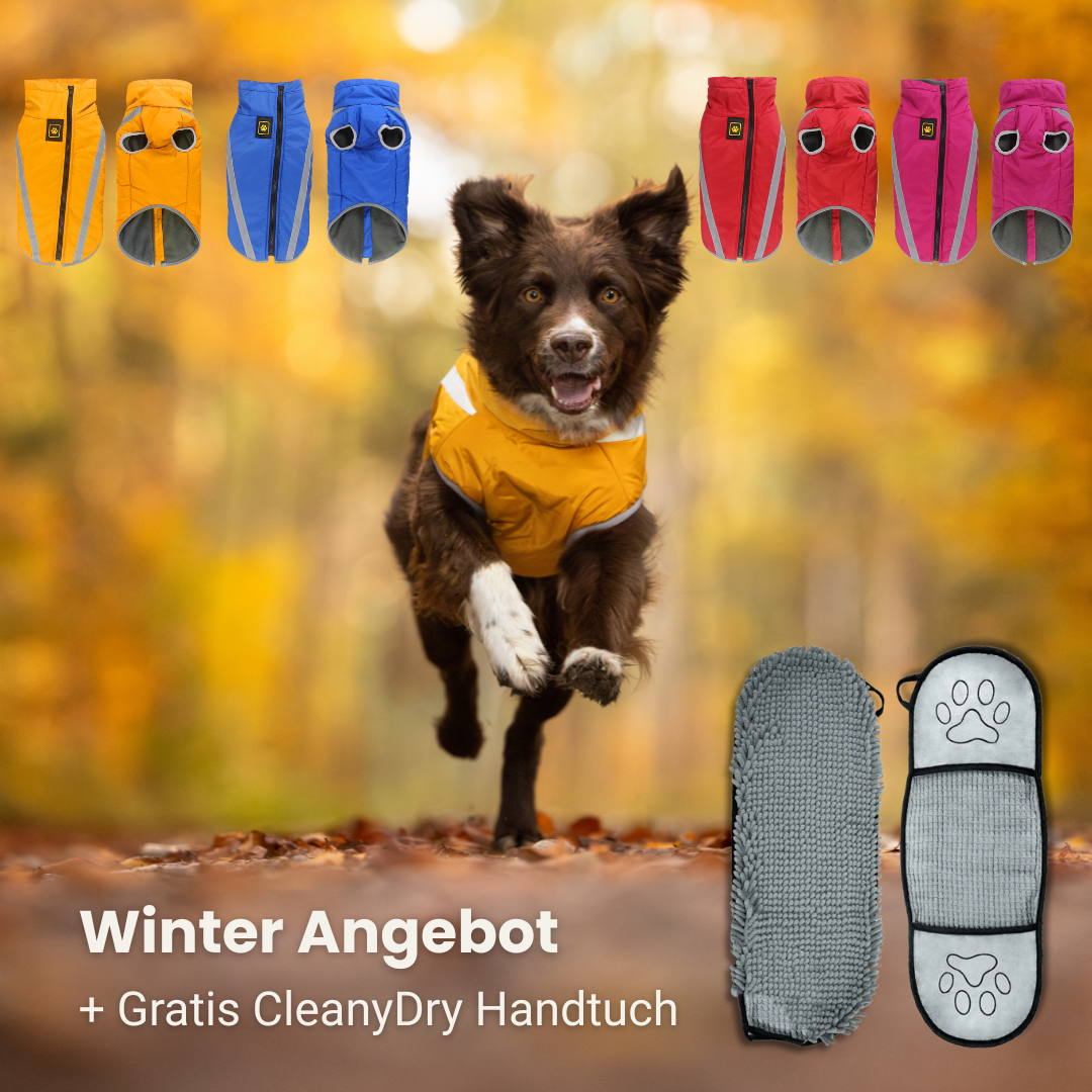 Thermo Fleece Hundemantel & CleanyDry